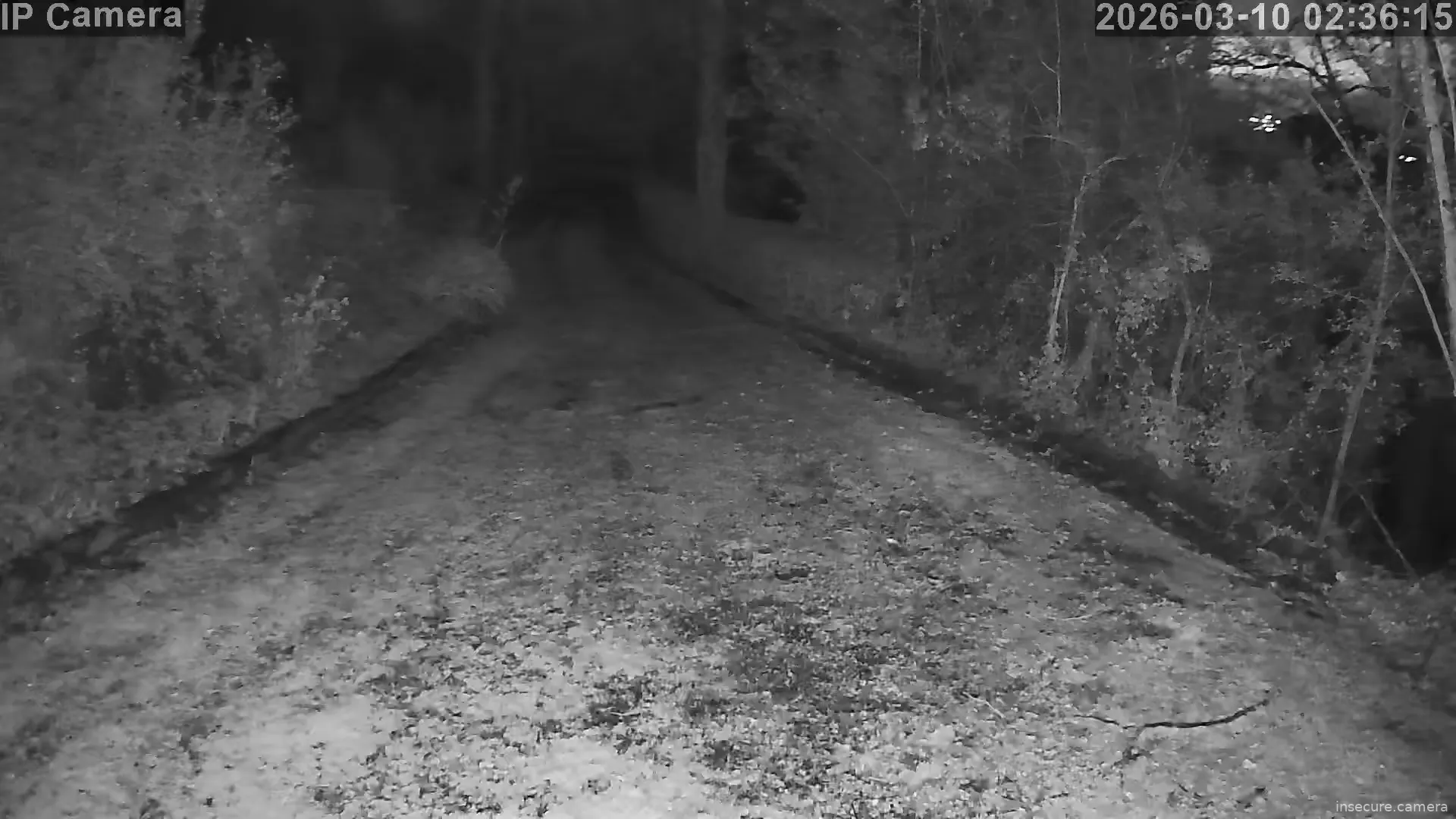 Capture from Mar 10, 2026 at 01:36 AM