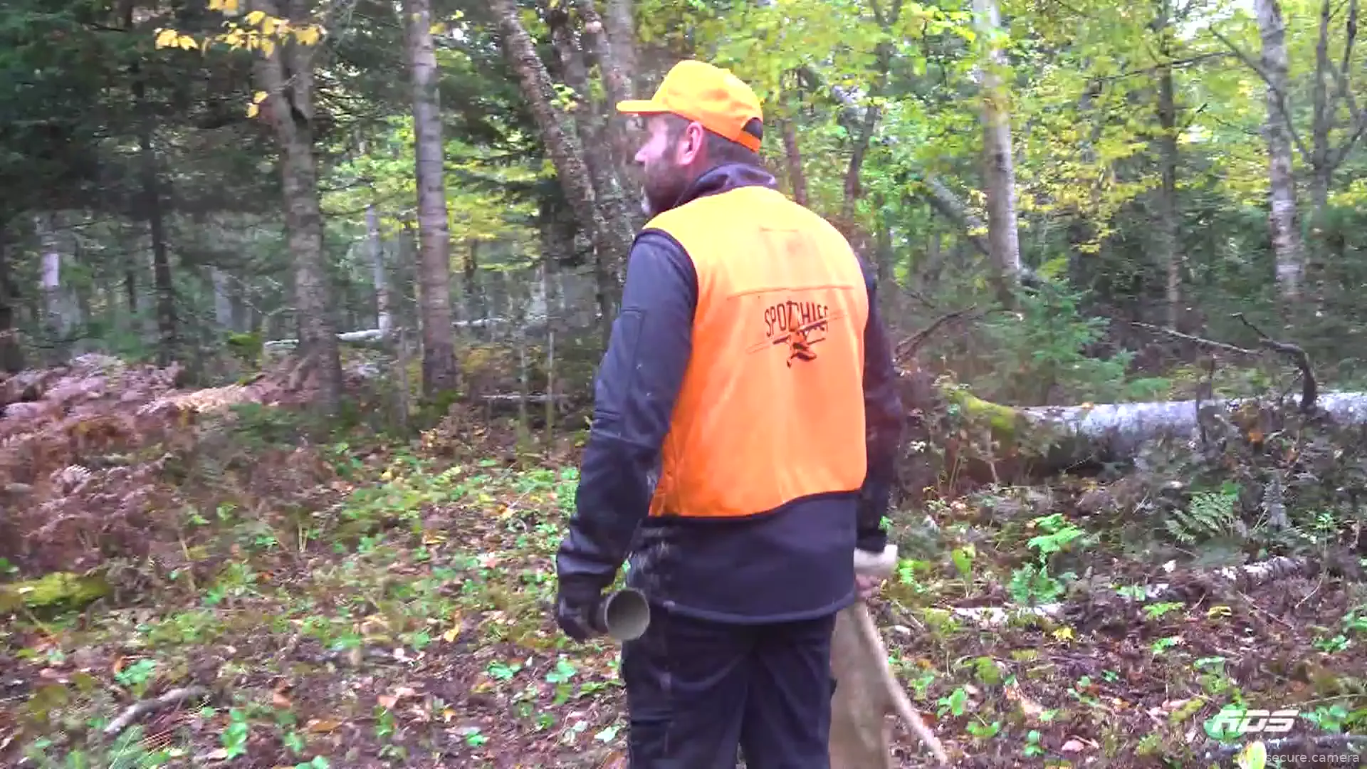 Capture from Feb 25, 2026 at 06:03 AM