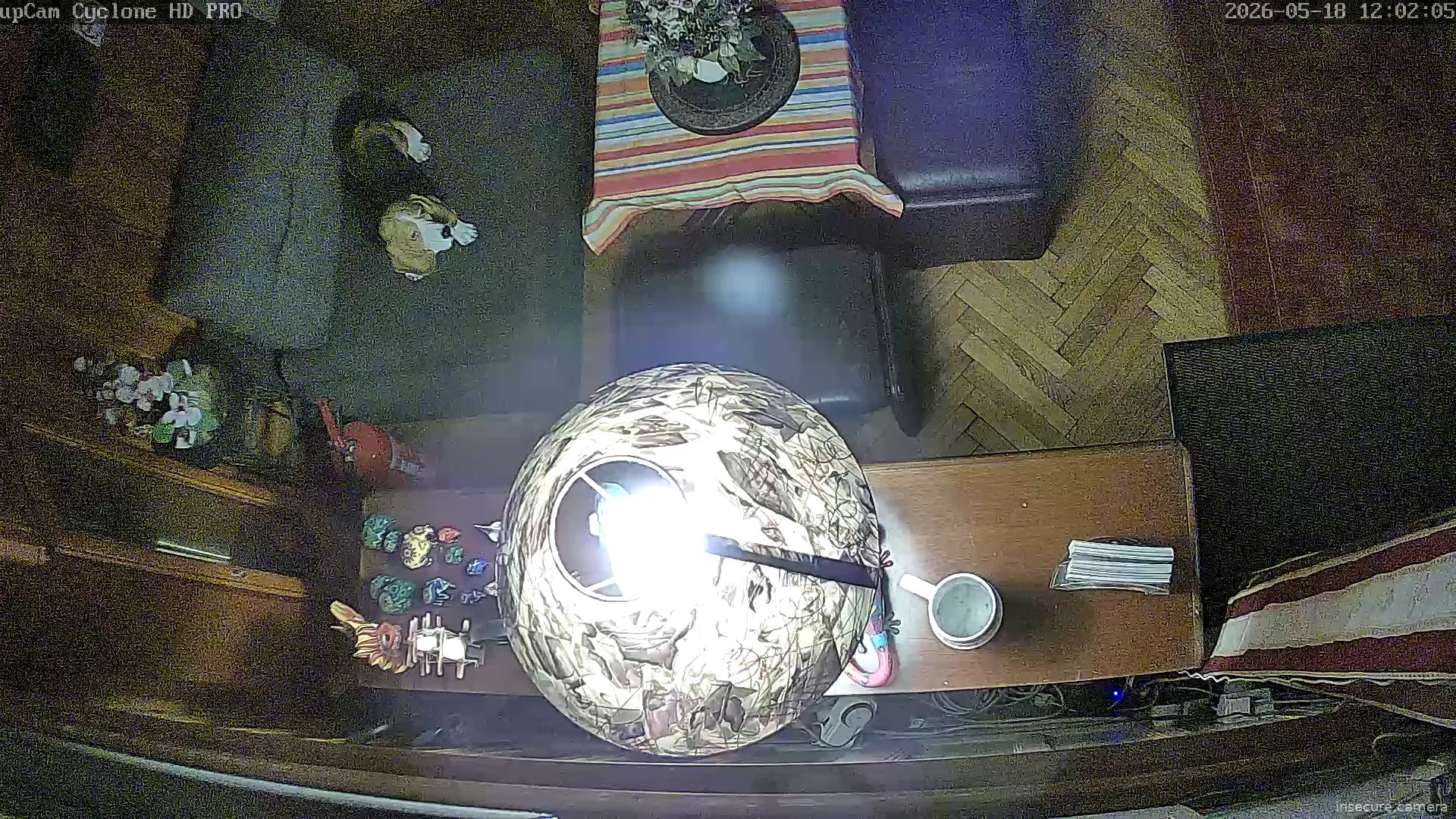 Camera in Germany