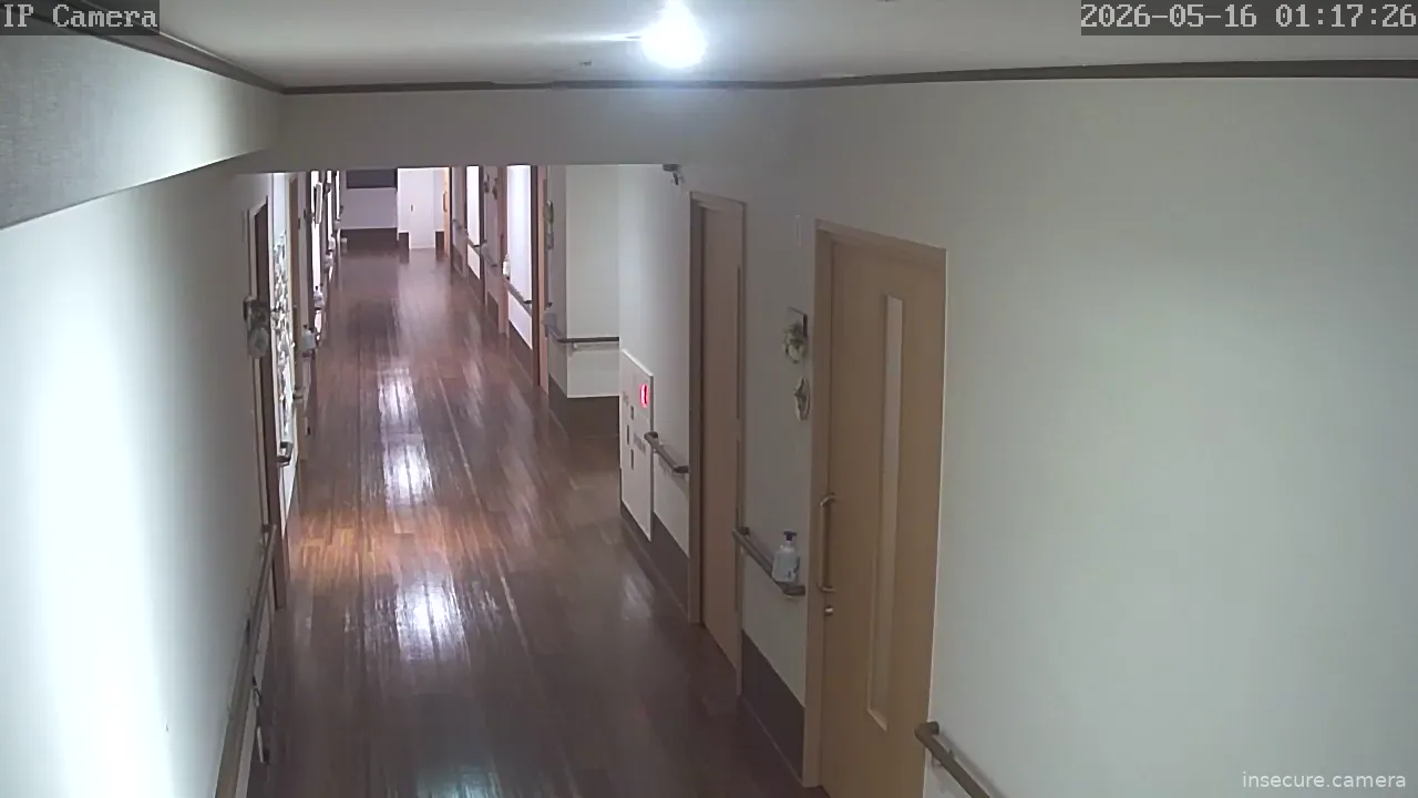 Camera in Japan