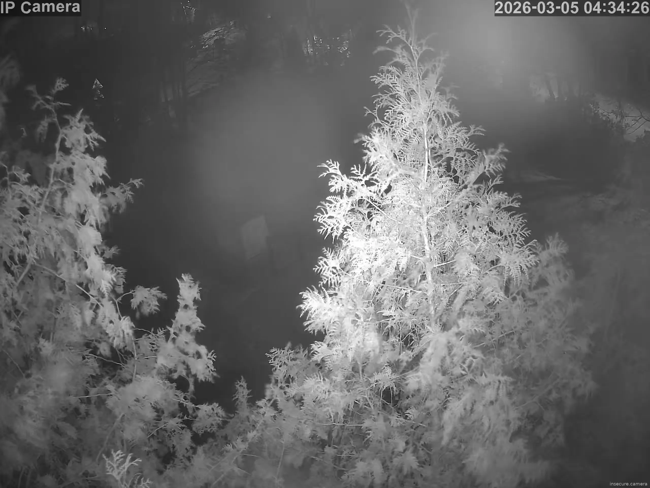 Capture from Mar 05, 2026 at 03:41 AM