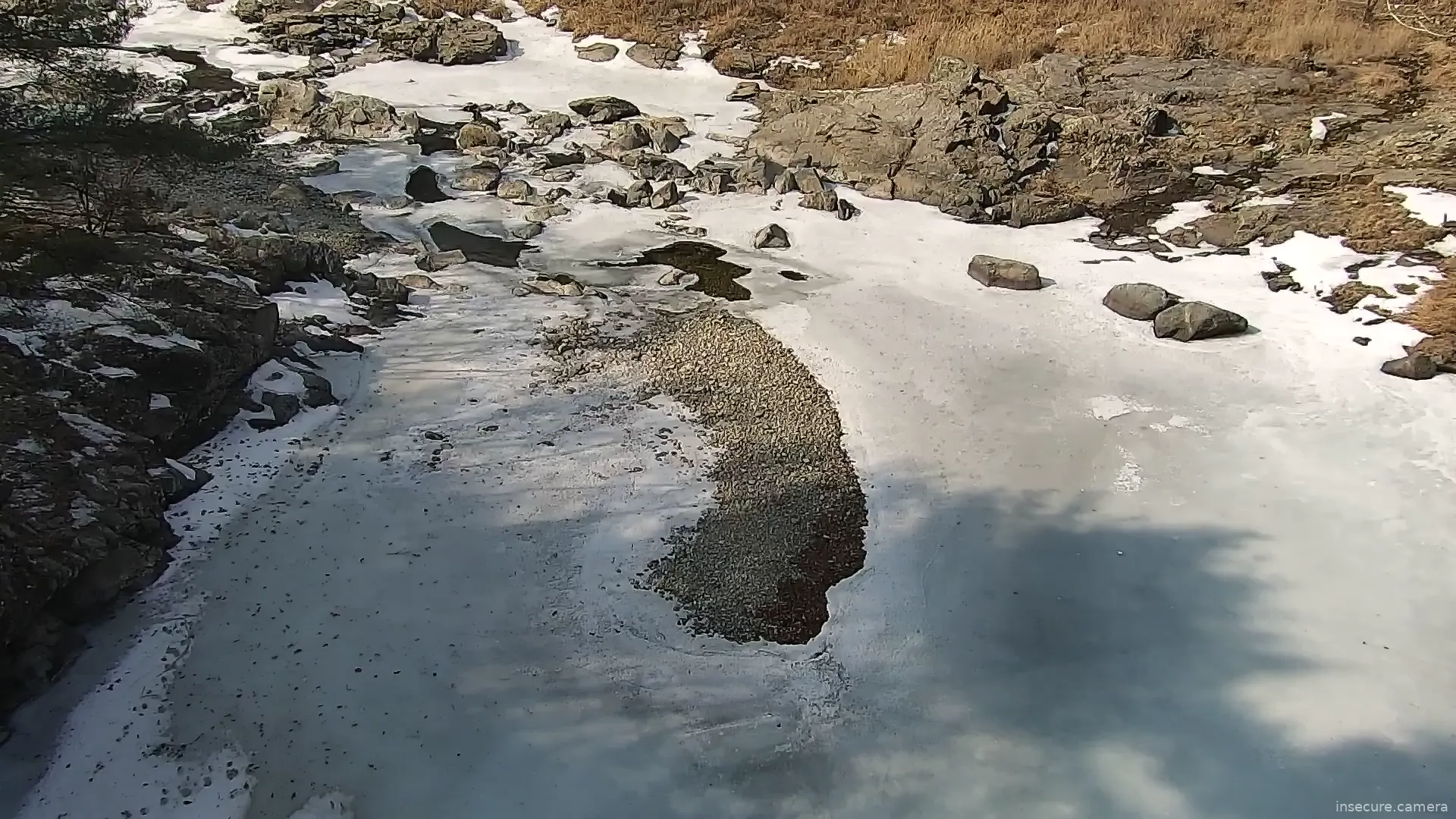 Capture from Feb 20, 2026 at 01:57 AM