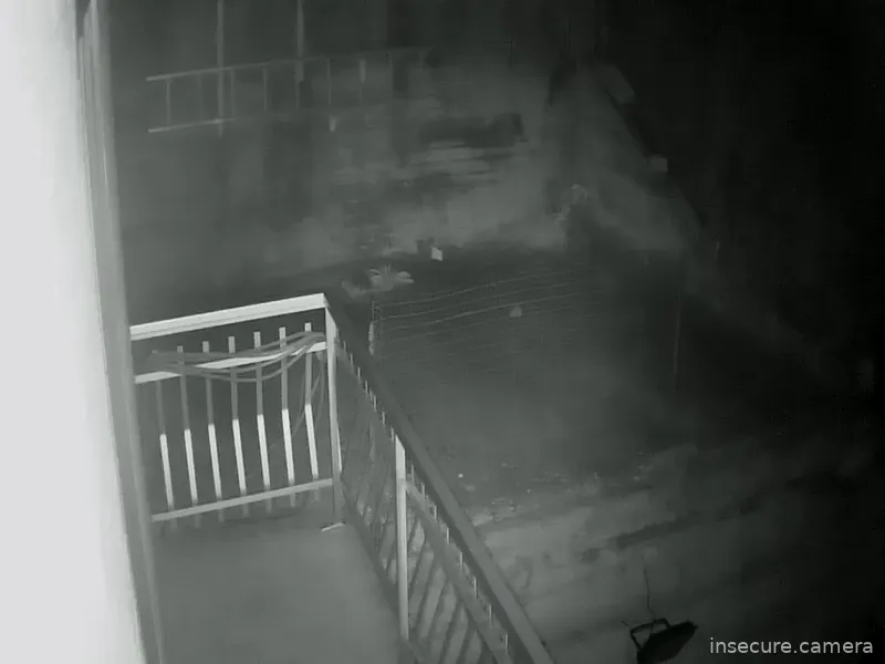 Capture from Mar 11, 2026 at 02:19 AM