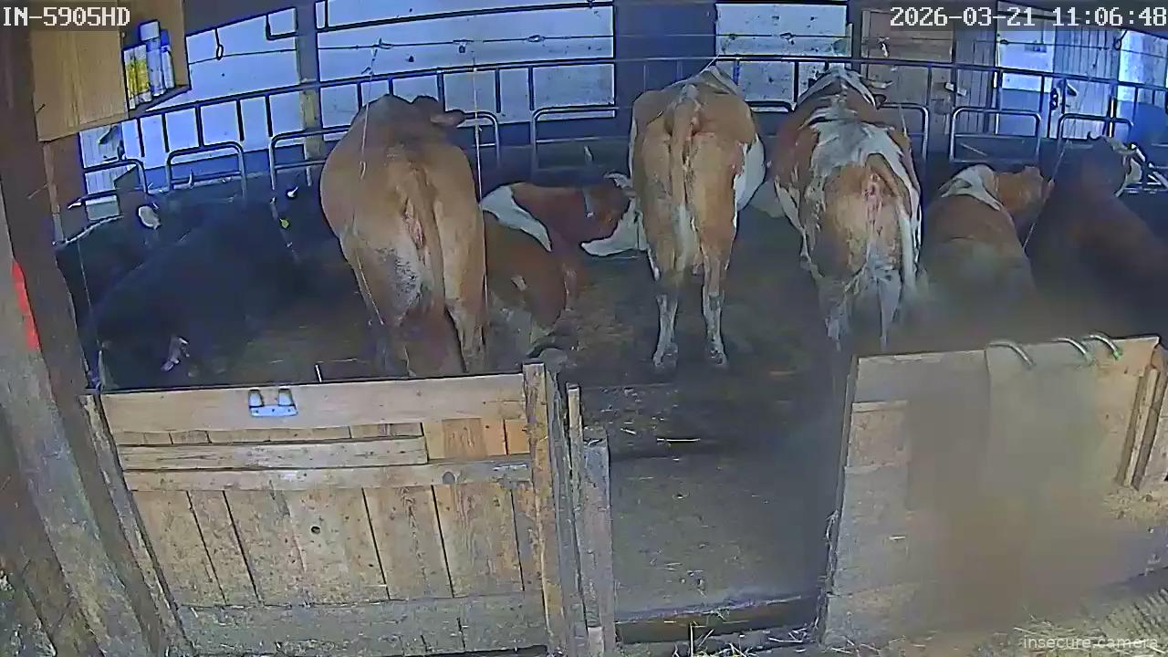 Capture from Mar 21, 2026 at 10:07 AM