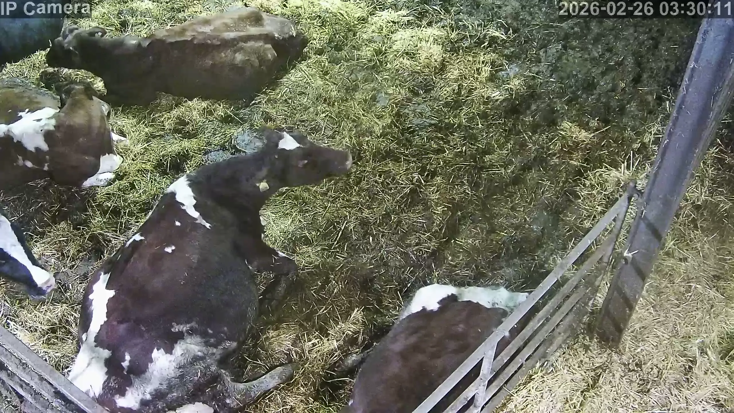 Capture from Feb 26, 2026 at 03:30 AM