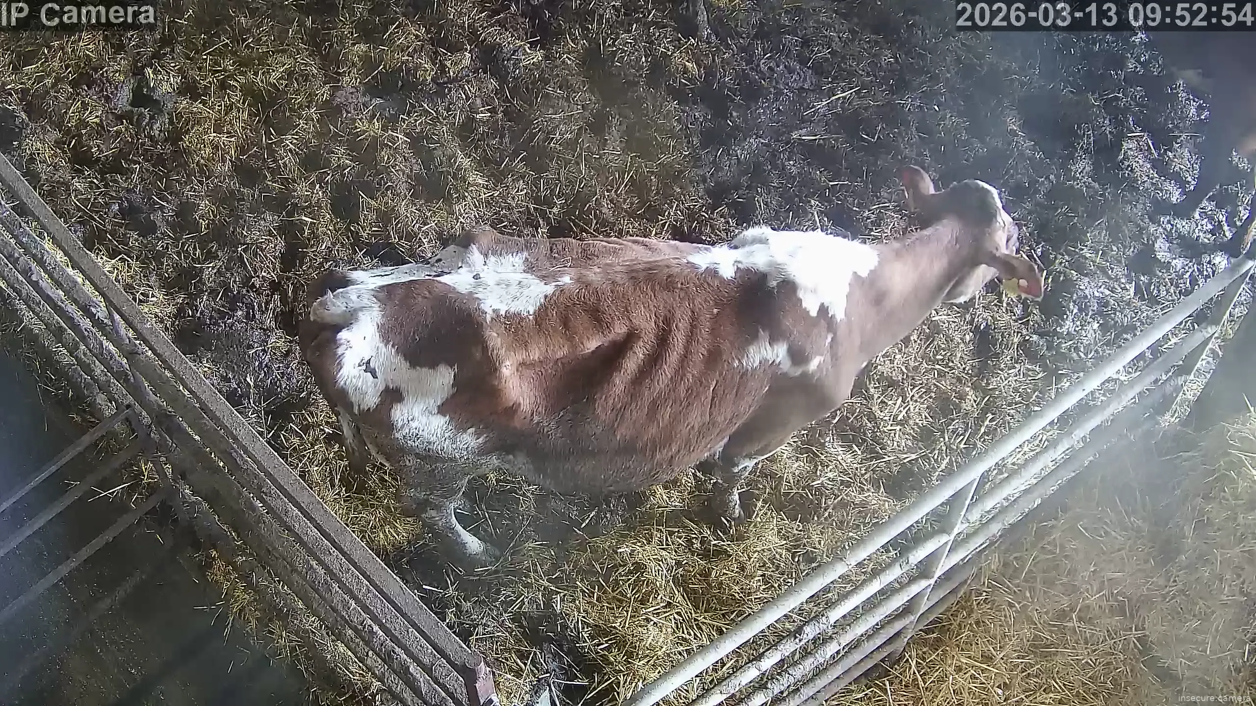 Capture from Mar 13, 2026 at 09:53 AM