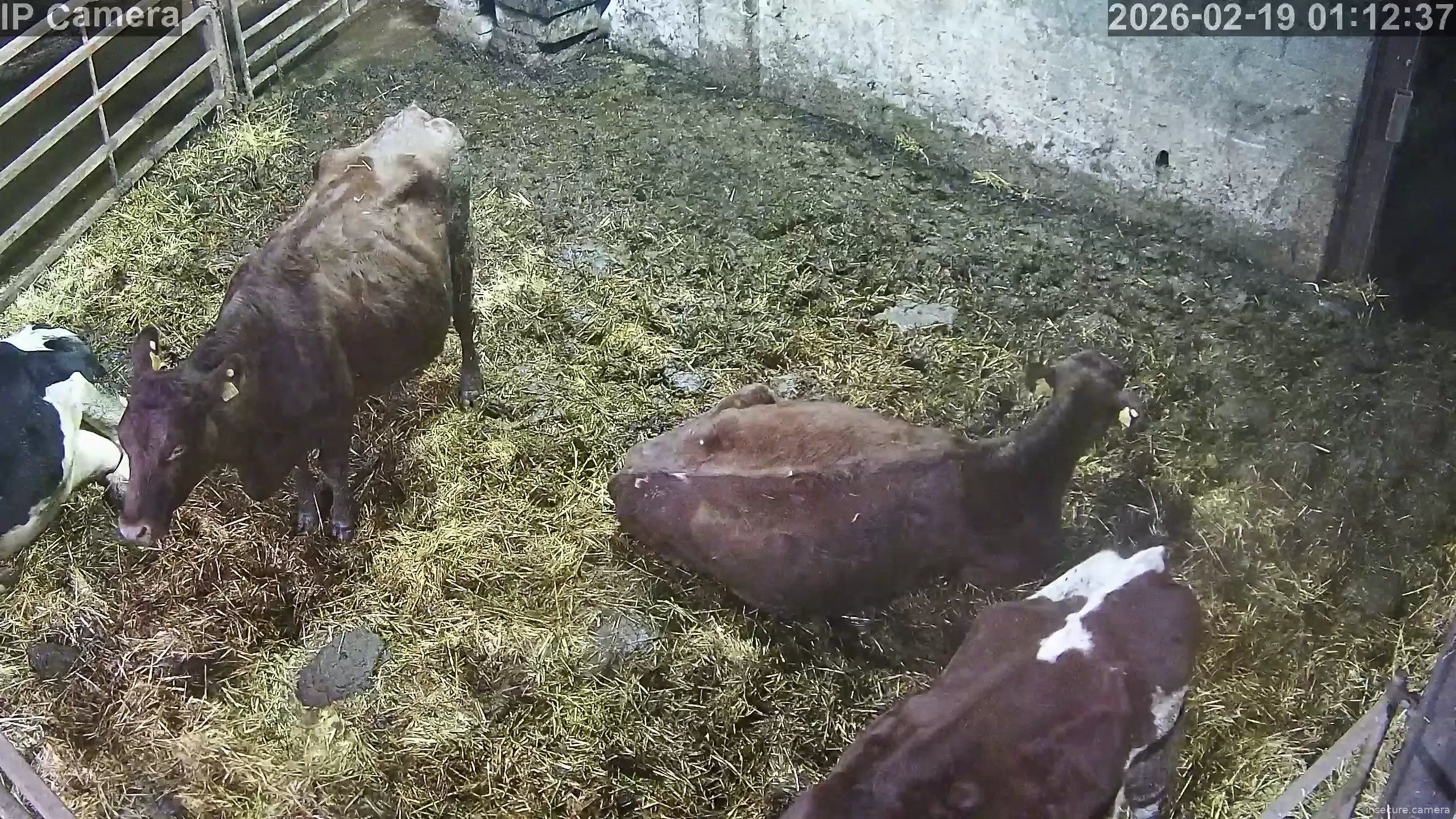 Capture from Feb 19, 2026 at 01:13 AM