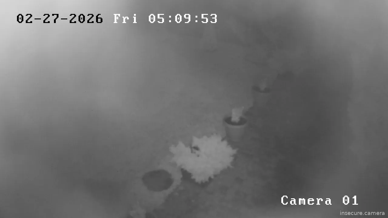 Capture from Feb 27, 2026 at 02:10 AM