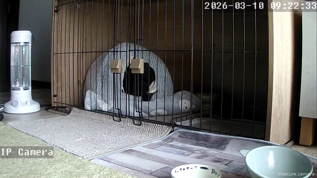 Capture from Mar 10, 2026 at 01:22 AM