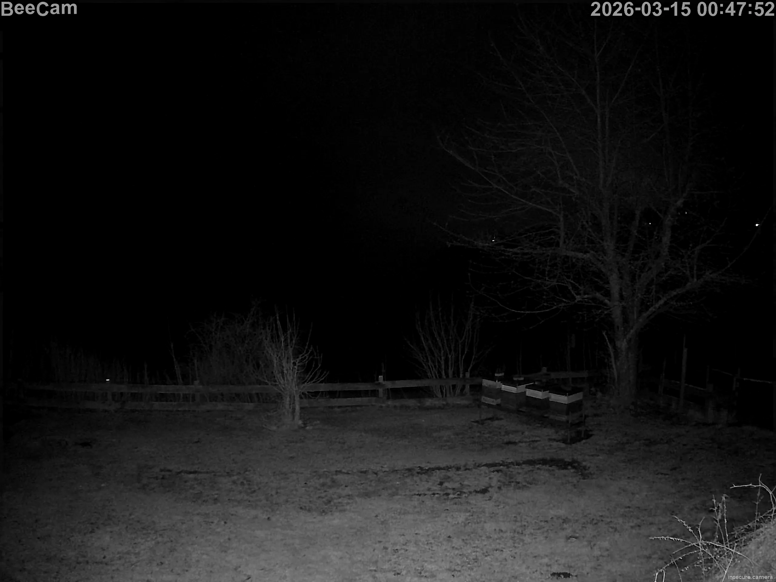 Capture from Mar 14, 2026 at 11:48 PM