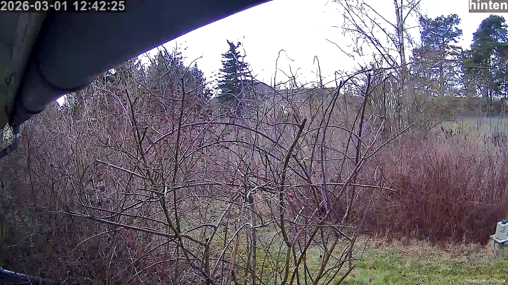 Capture from Mar 01, 2026 at 11:42 AM