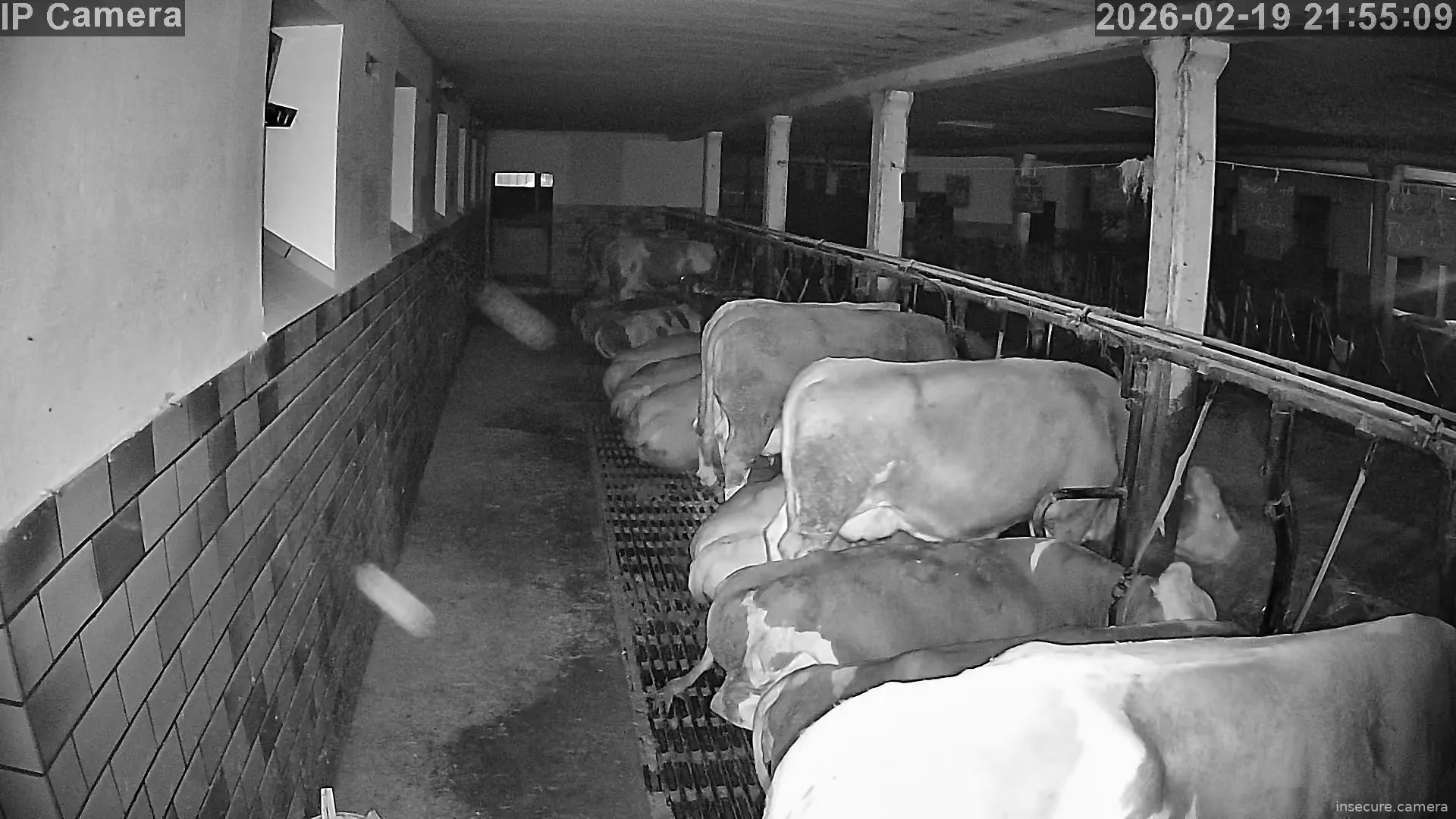 Capture from Feb 19, 2026 at 08:55 PM