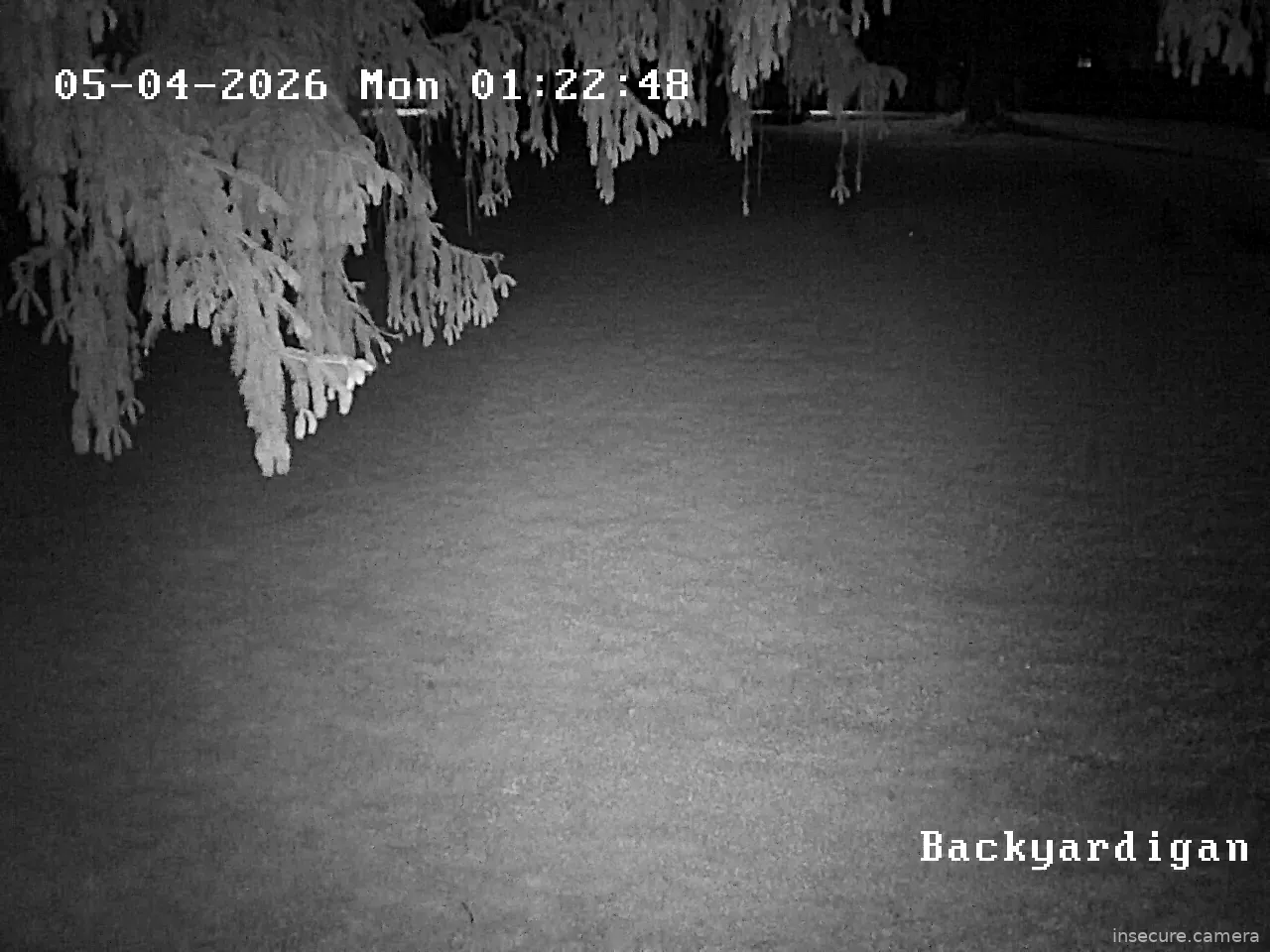Capture from May 04, 2026 at 06:17 AM