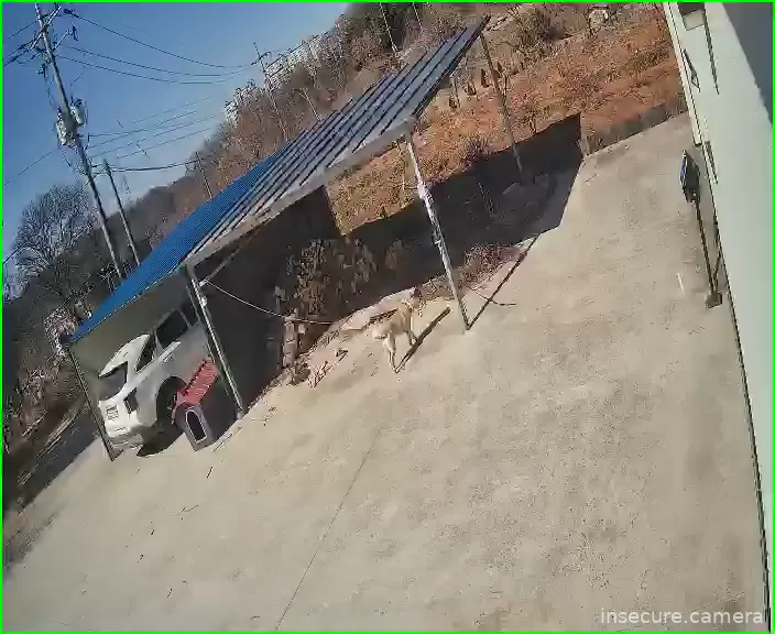 Capture from Feb 19, 2026 at 04:02 AM