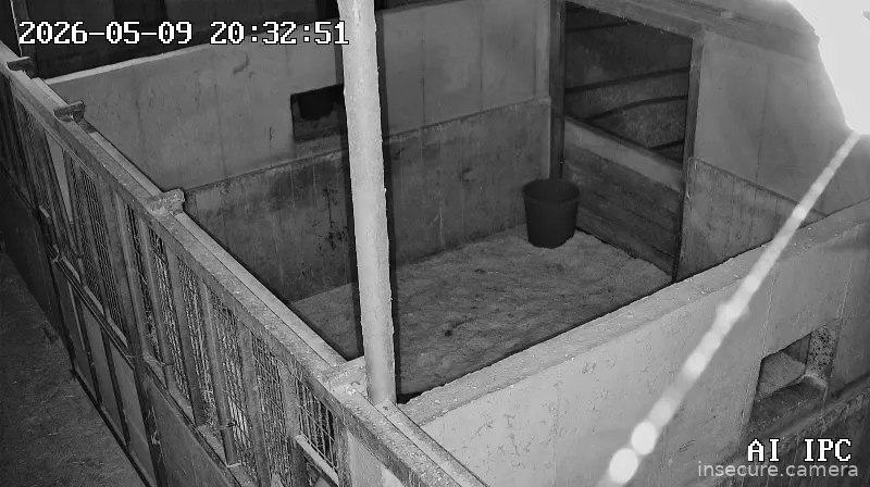 Capture from May 09, 2026 at 11:33 AM
