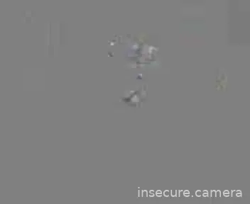 Capture from Feb 24, 2026 at 07:59 AM