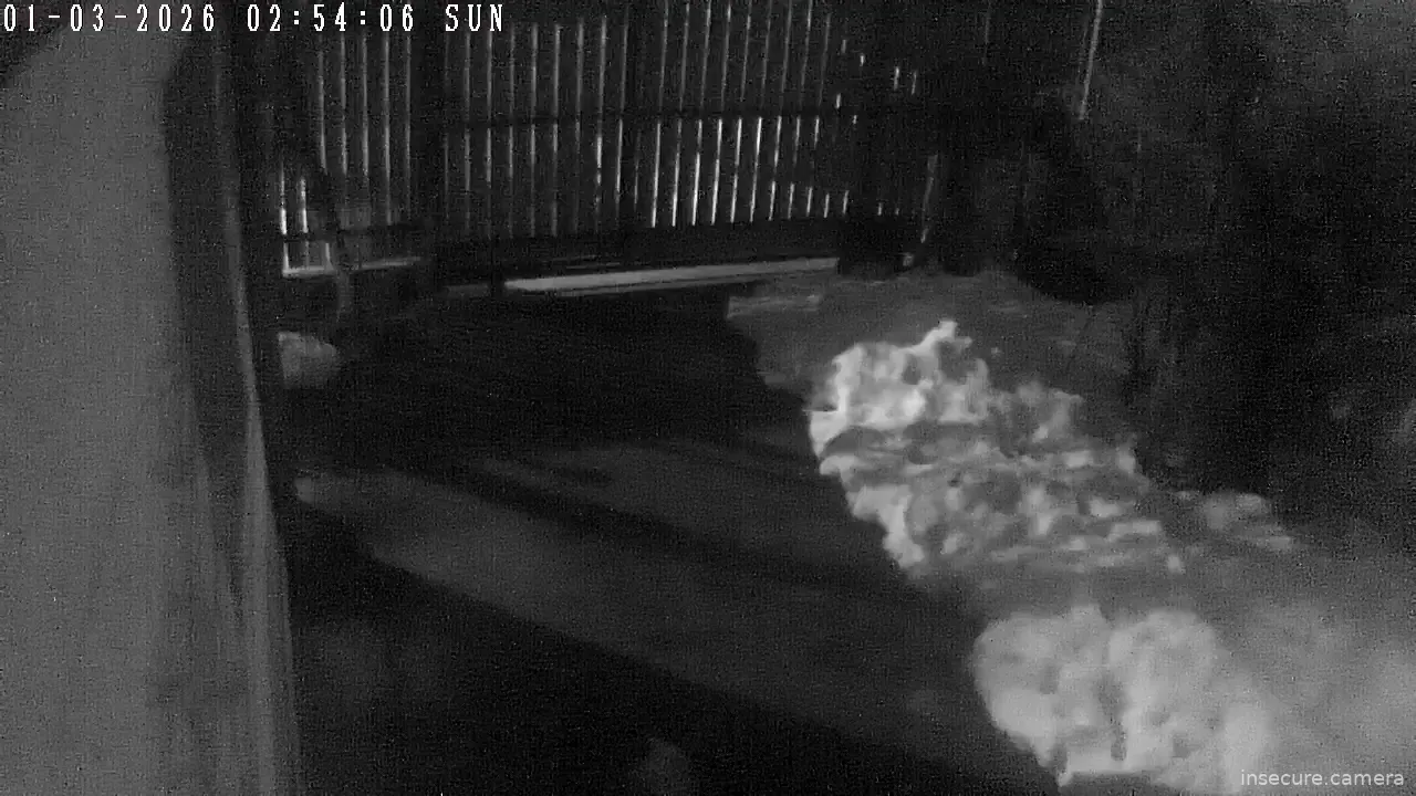 Capture from Mar 01, 2026 at 12:54 AM