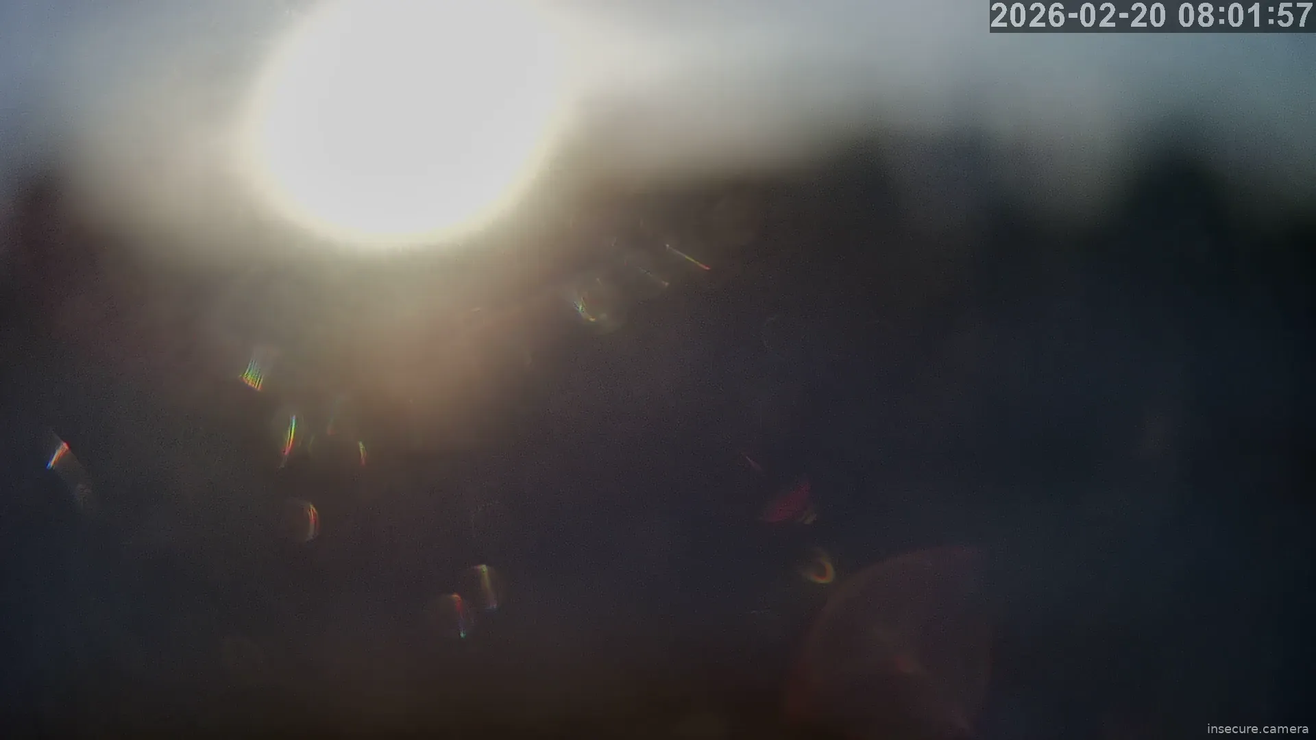 Capture from Feb 20, 2026 at 12:02 AM