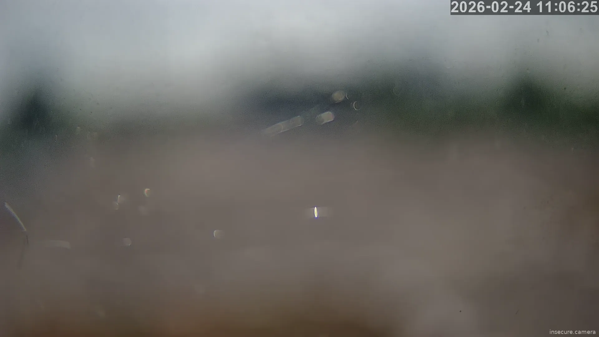 Capture from Feb 24, 2026 at 03:06 AM