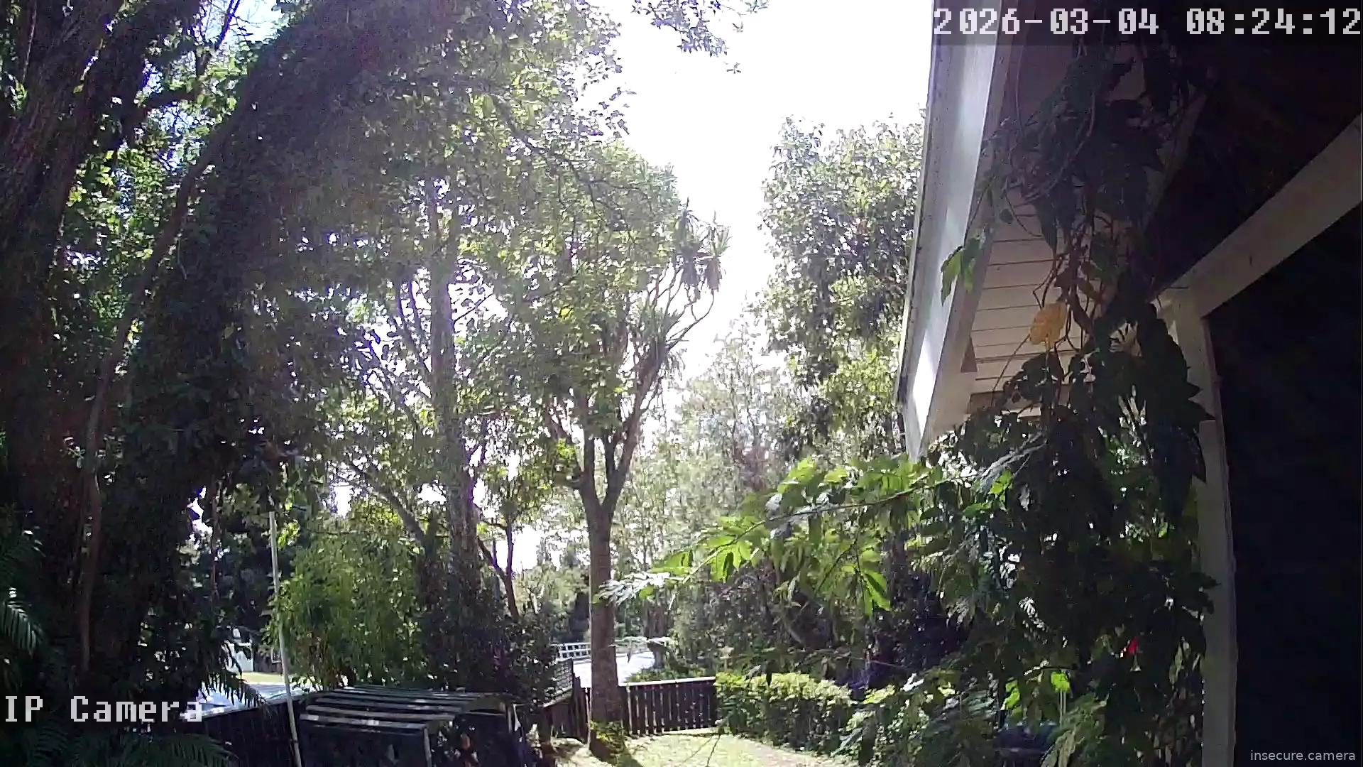 Camera in New Zealand