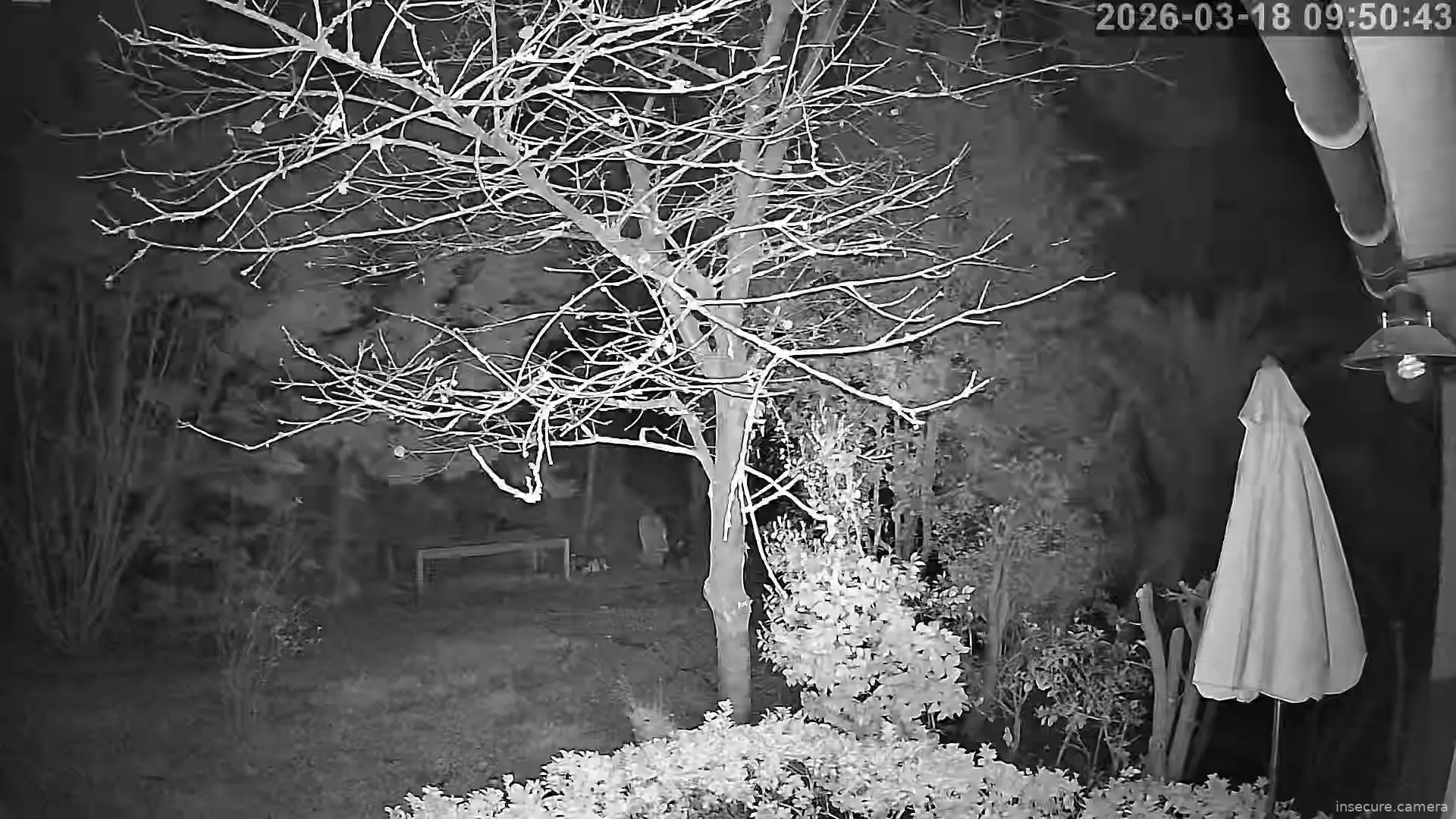 Capture from Mar 18, 2026 at 01:51 AM