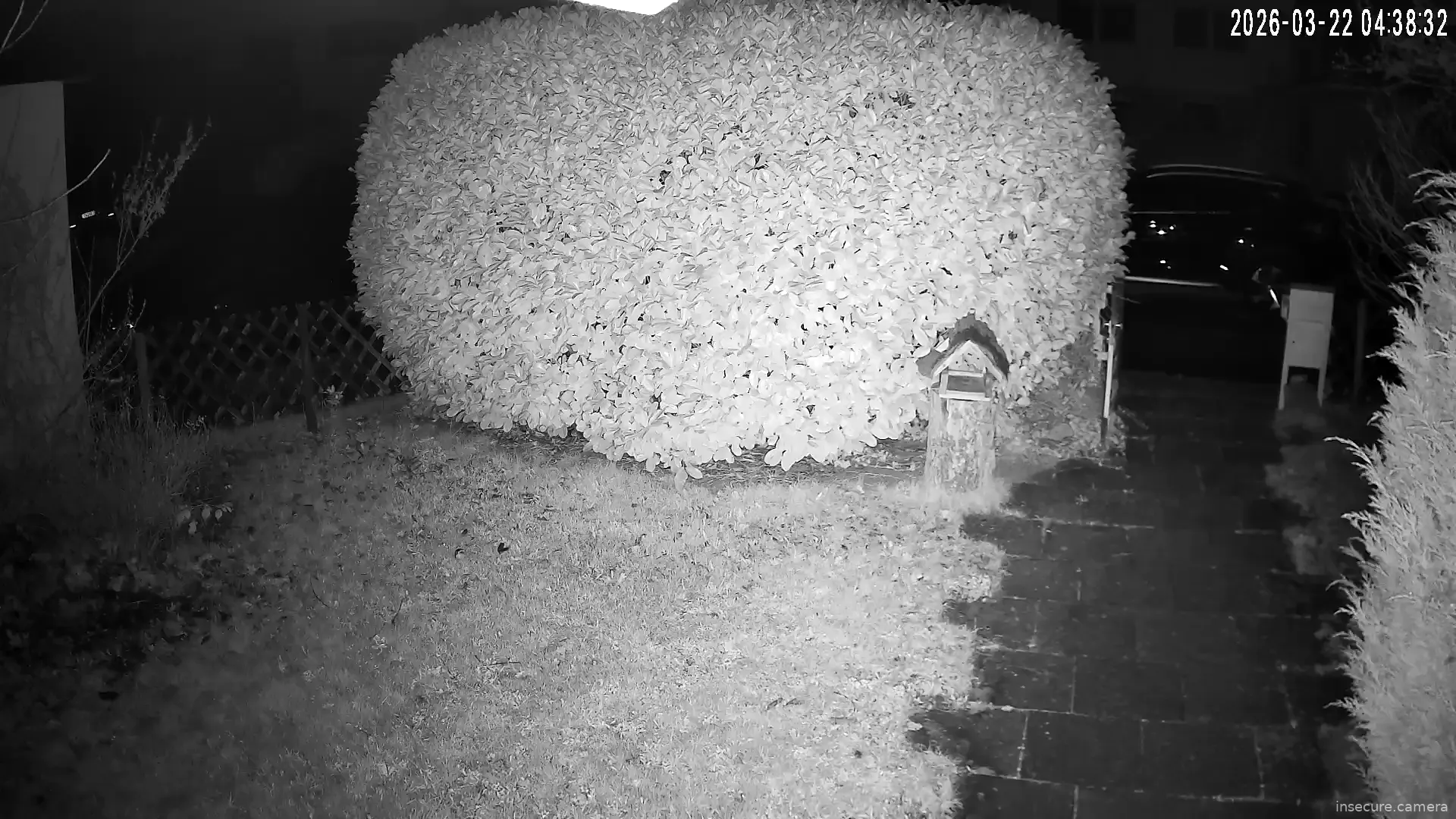 Capture from Mar 22, 2026 at 02:38 AM