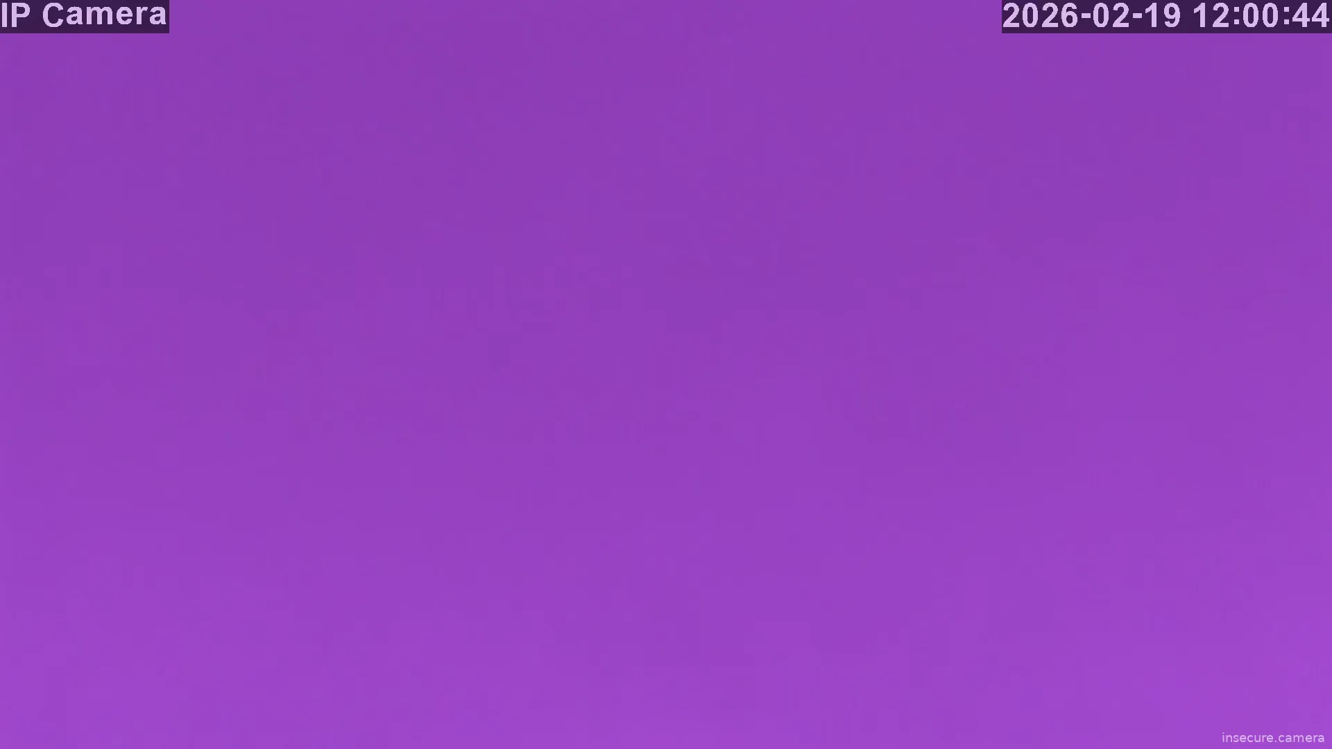 Capture from Feb 19, 2026 at 04:01 AM