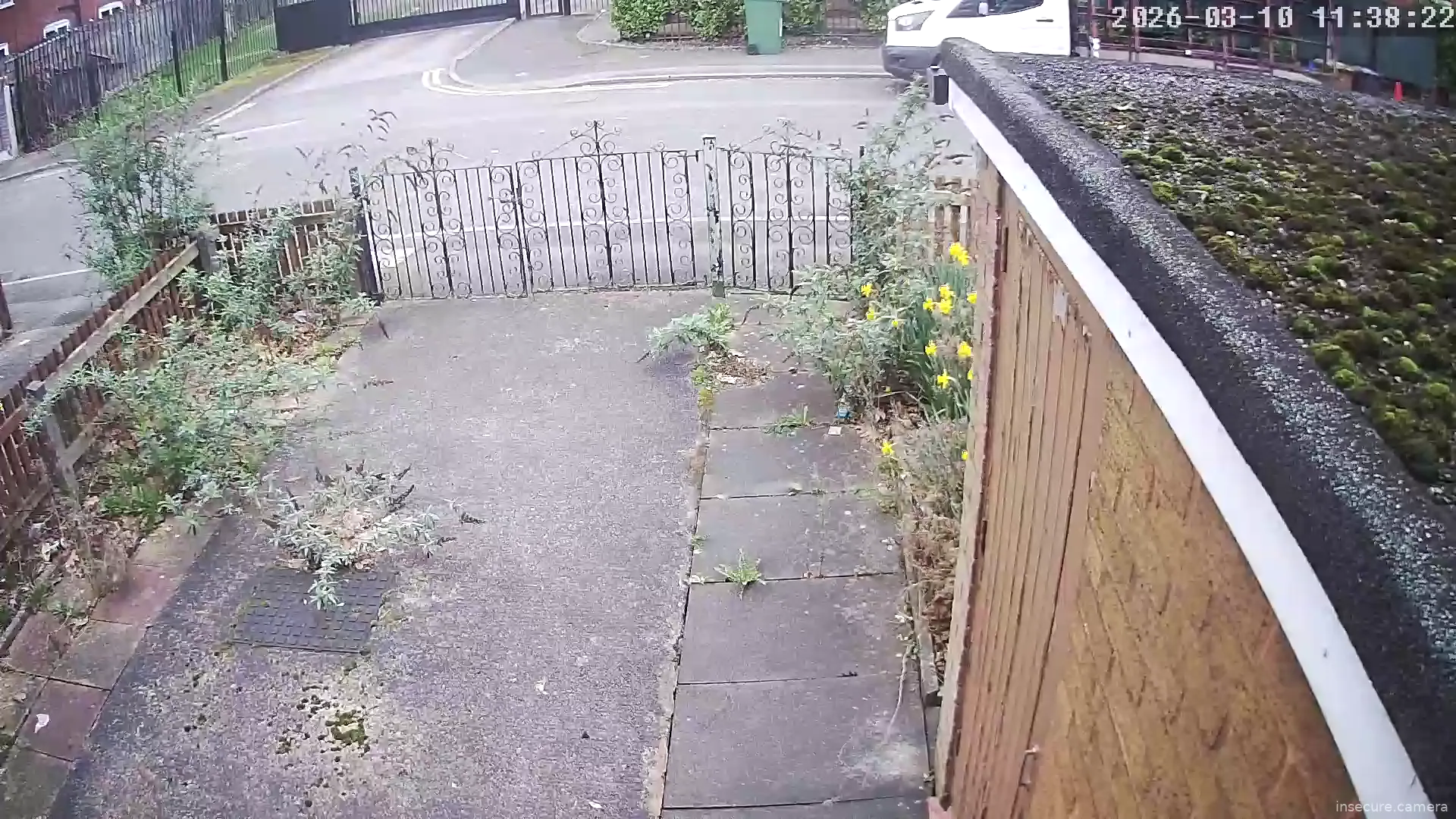 Capture from Mar 10, 2026 at 11:38 AM