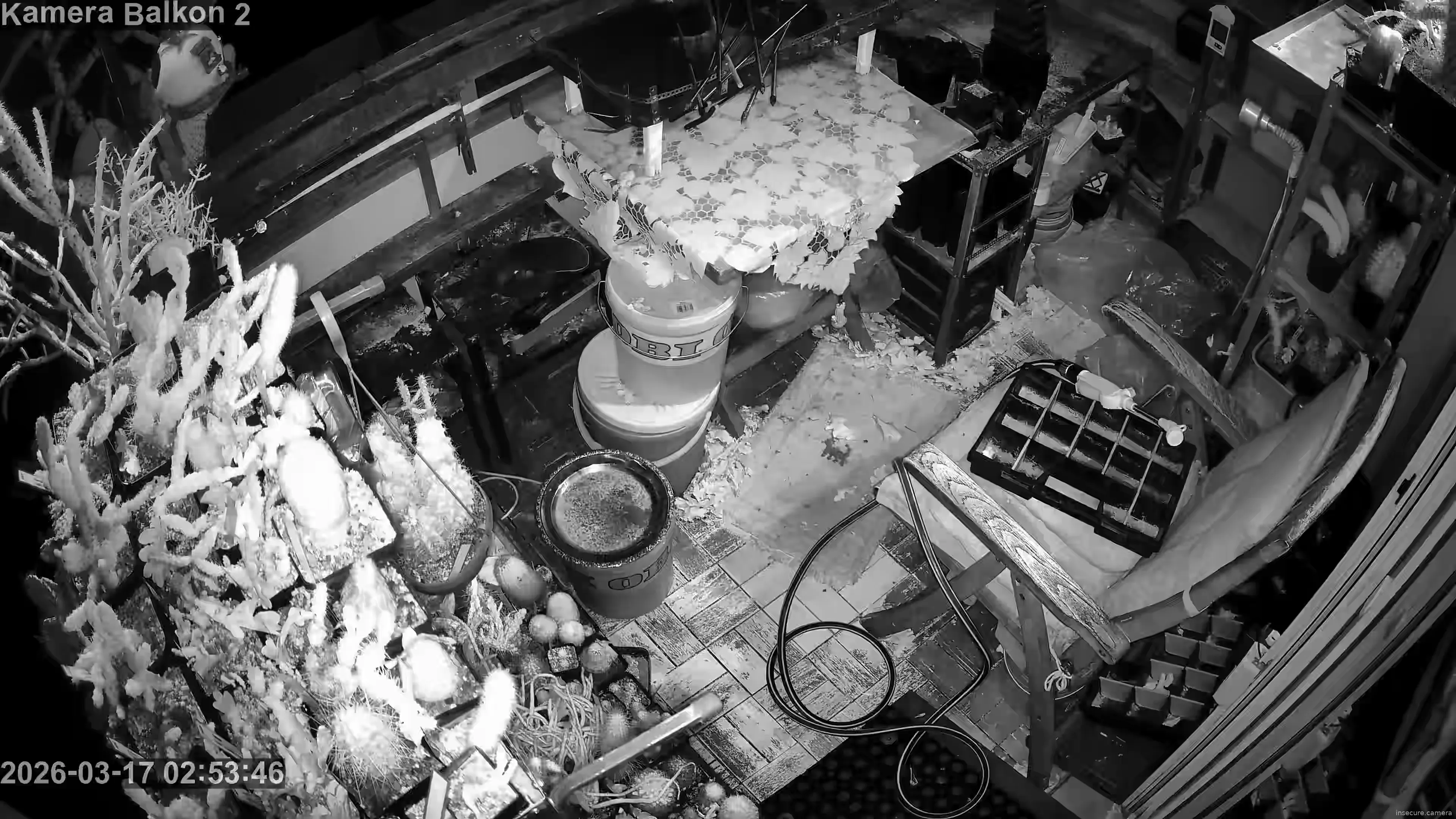 Capture from Mar 17, 2026 at 01:55 AM