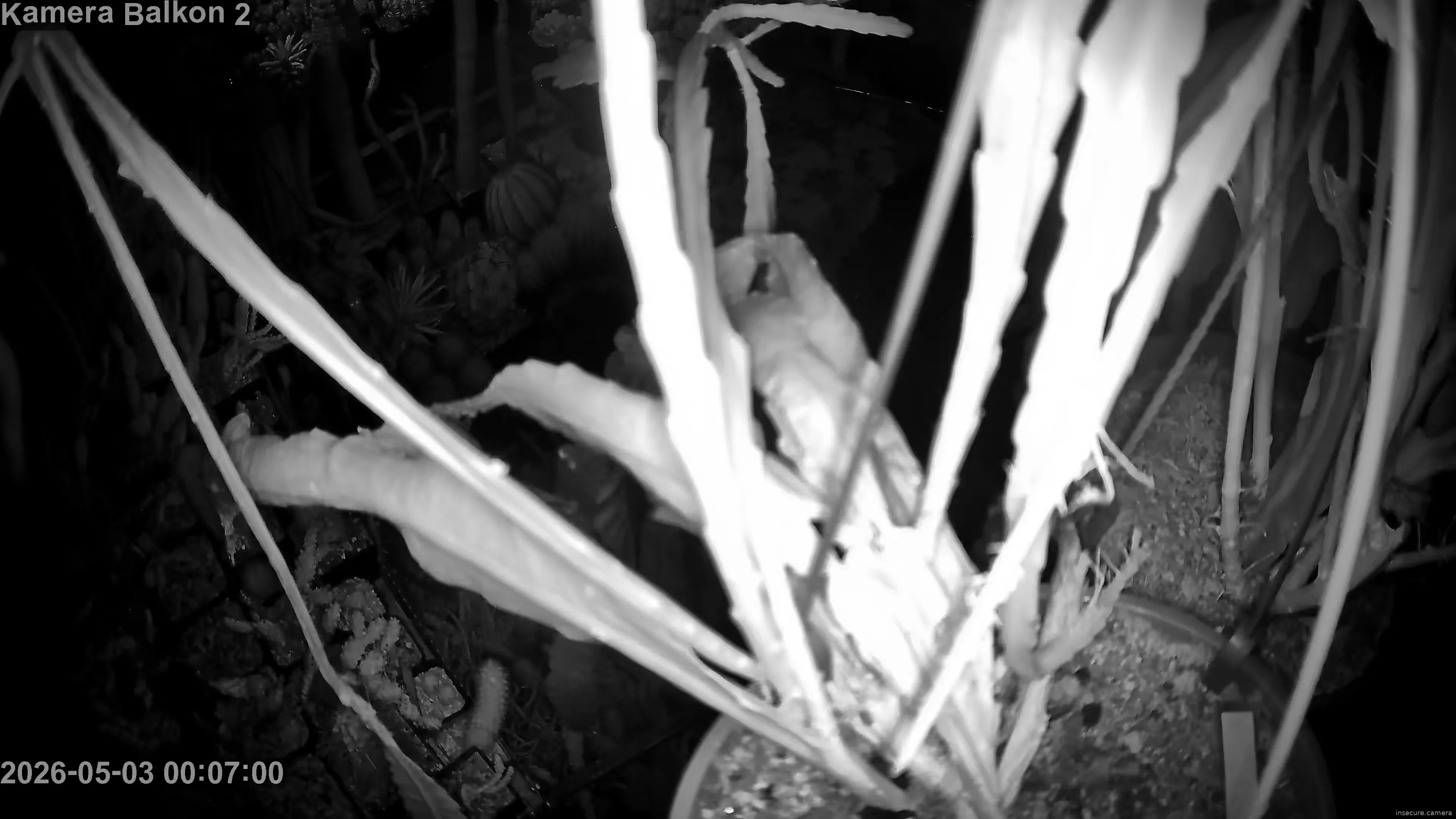 Capture from May 02, 2026 at 10:07 PM