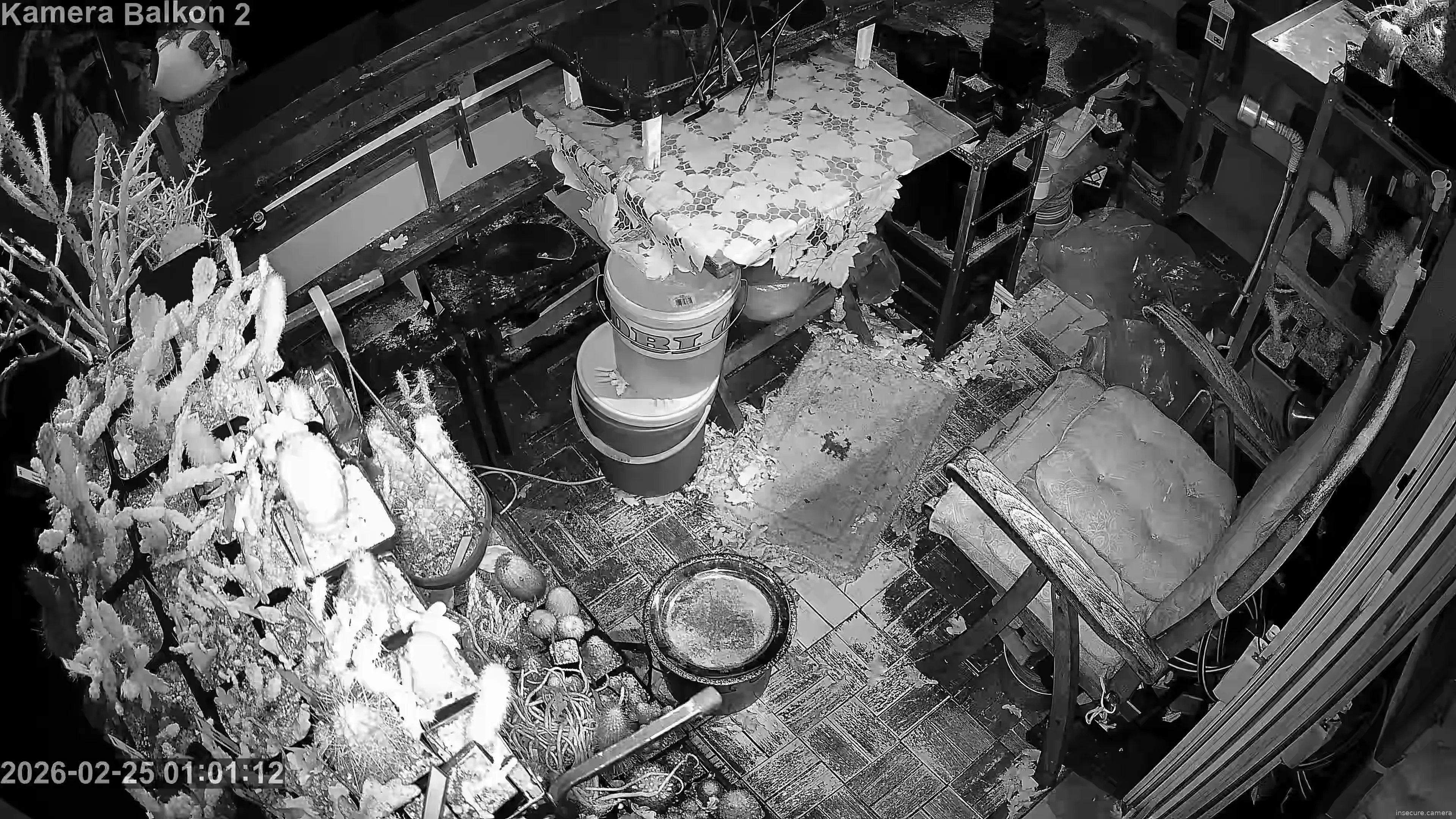 Capture from Feb 25, 2026 at 12:01 AM