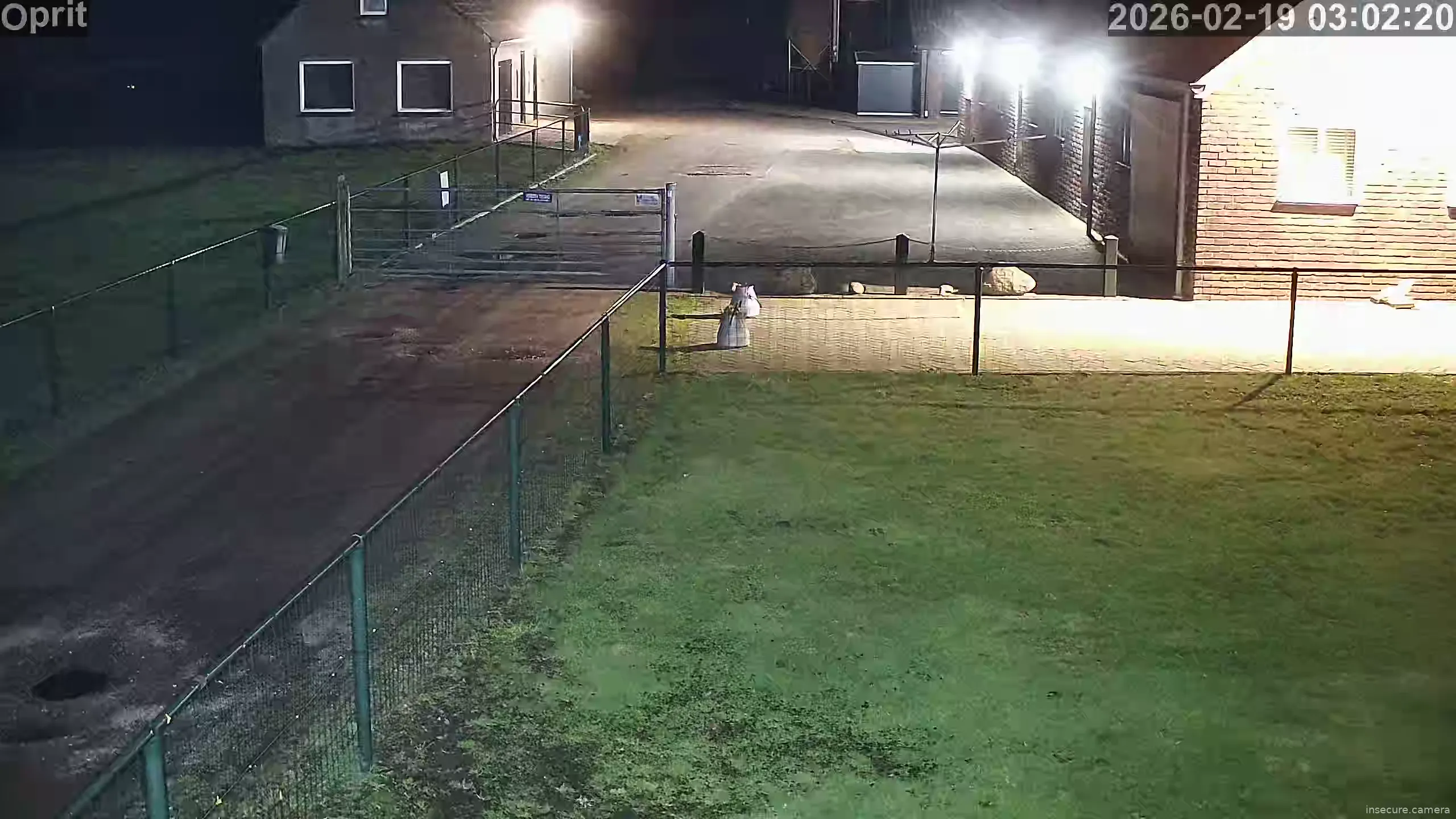 Capture from Feb 19, 2026 at 02:02 AM