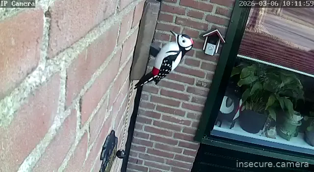 Camera in Netherlands