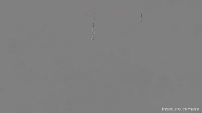 Capture from Mar 03, 2026 at 05:26 AM