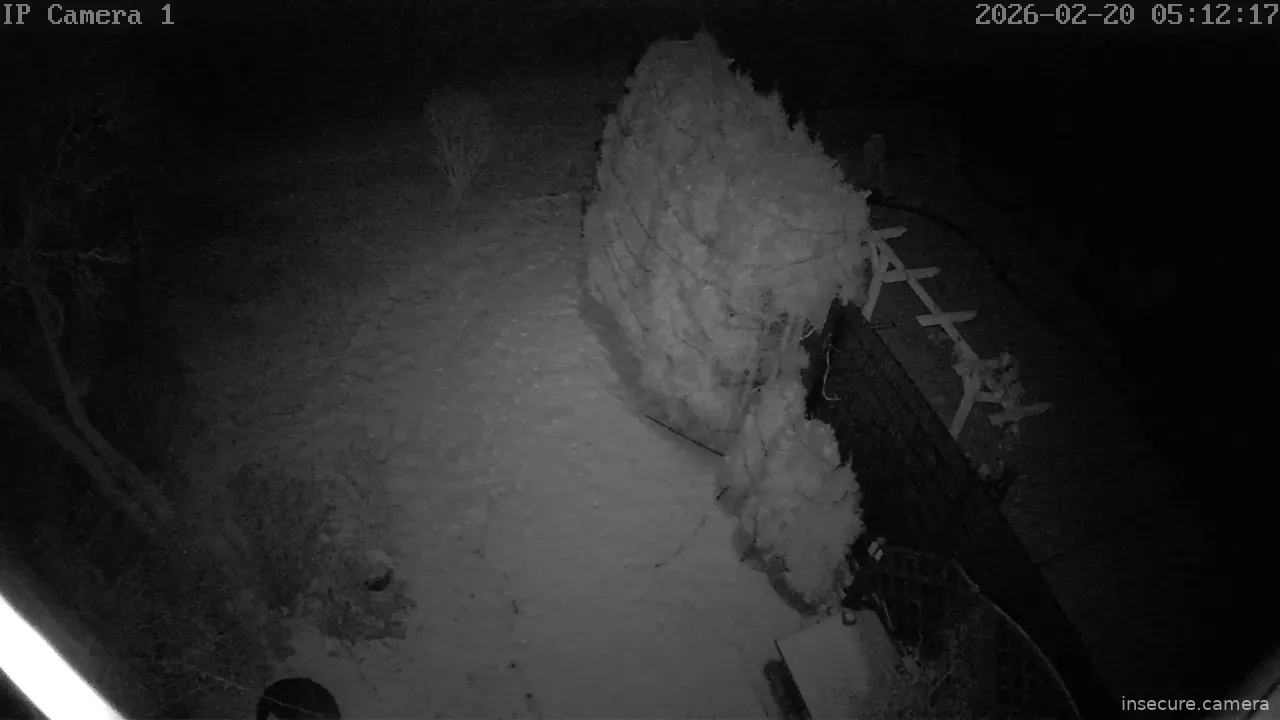 Capture from Feb 20, 2026 at 04:12 AM