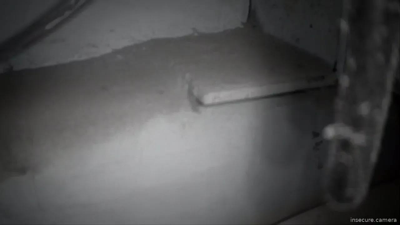 Capture from Mar 10, 2026 at 04:23 AM