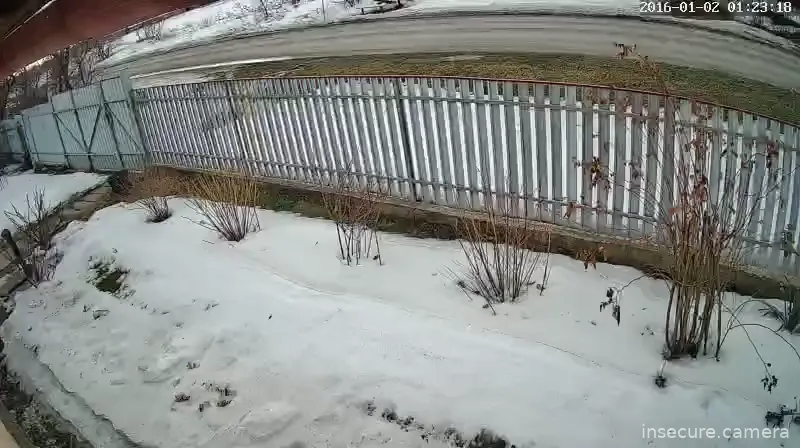 Capture from Mar 03, 2026 at 02:11 PM