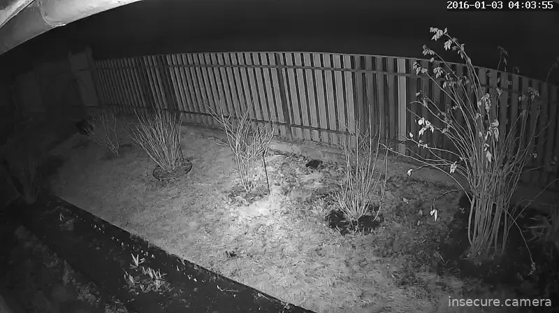 Capture from Mar 21, 2026 at 12:59 AM