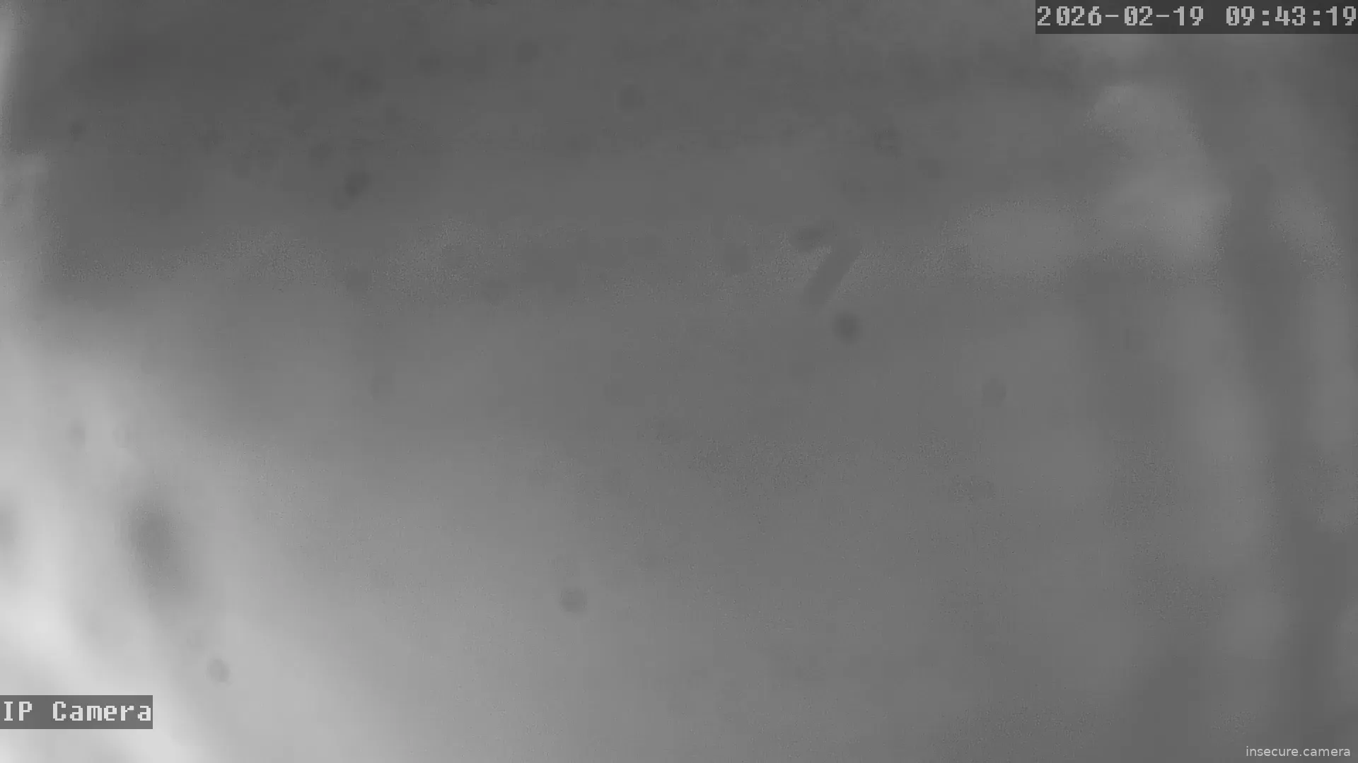 Capture from Feb 19, 2026 at 12:43 AM