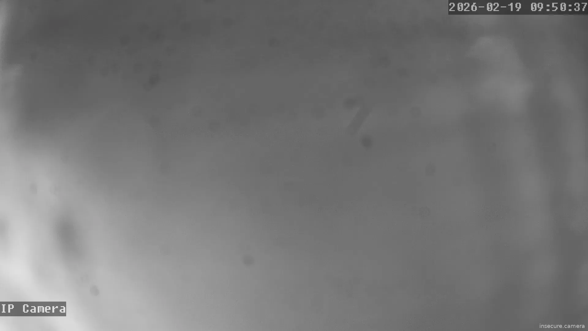 Capture from Feb 19, 2026 at 12:51 AM