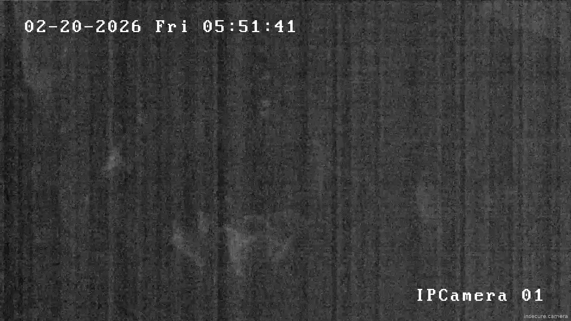 Capture from Feb 20, 2026 at 02:58 AM