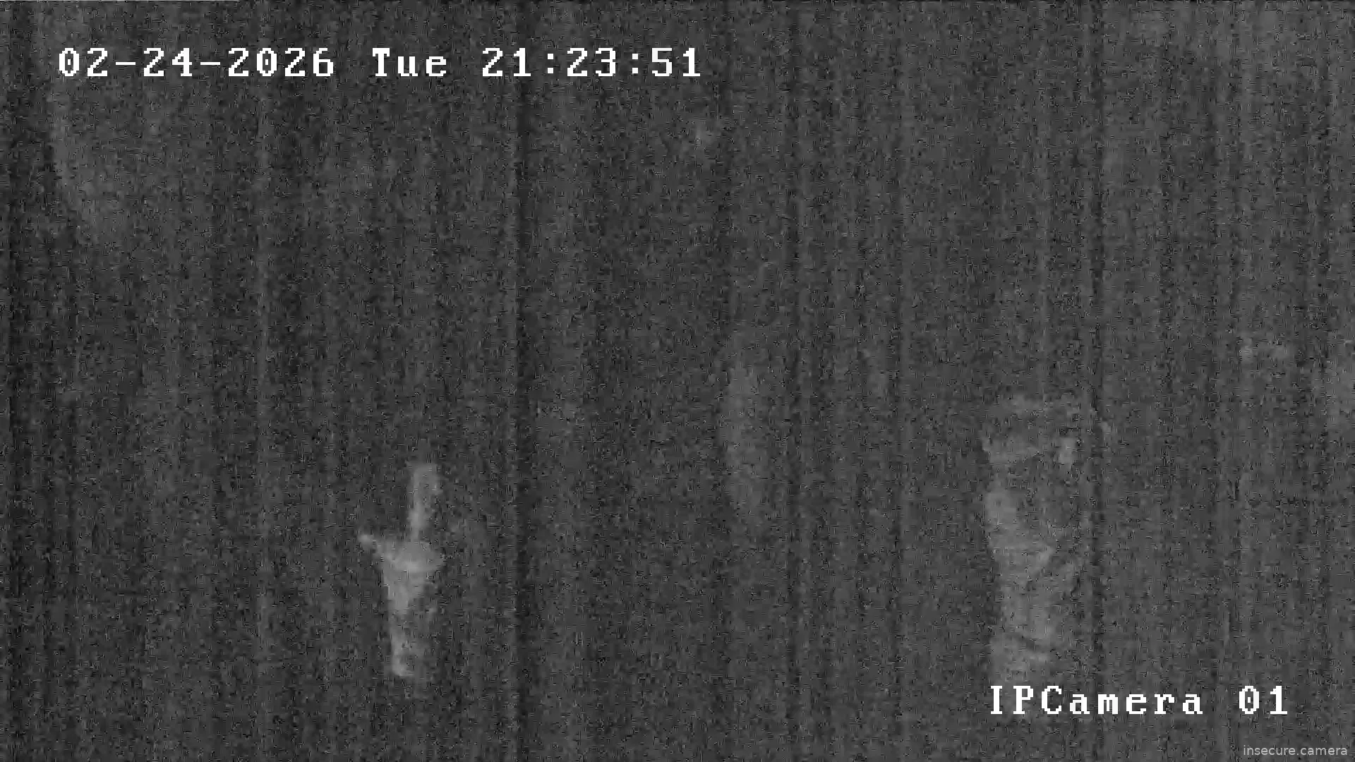 Capture from Feb 24, 2026 at 06:31 PM