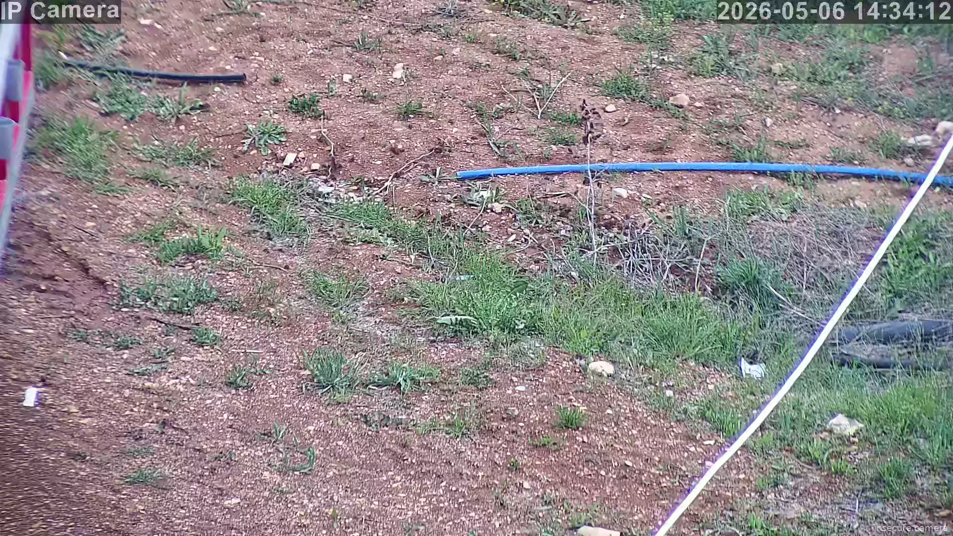 Camera in Türkiye