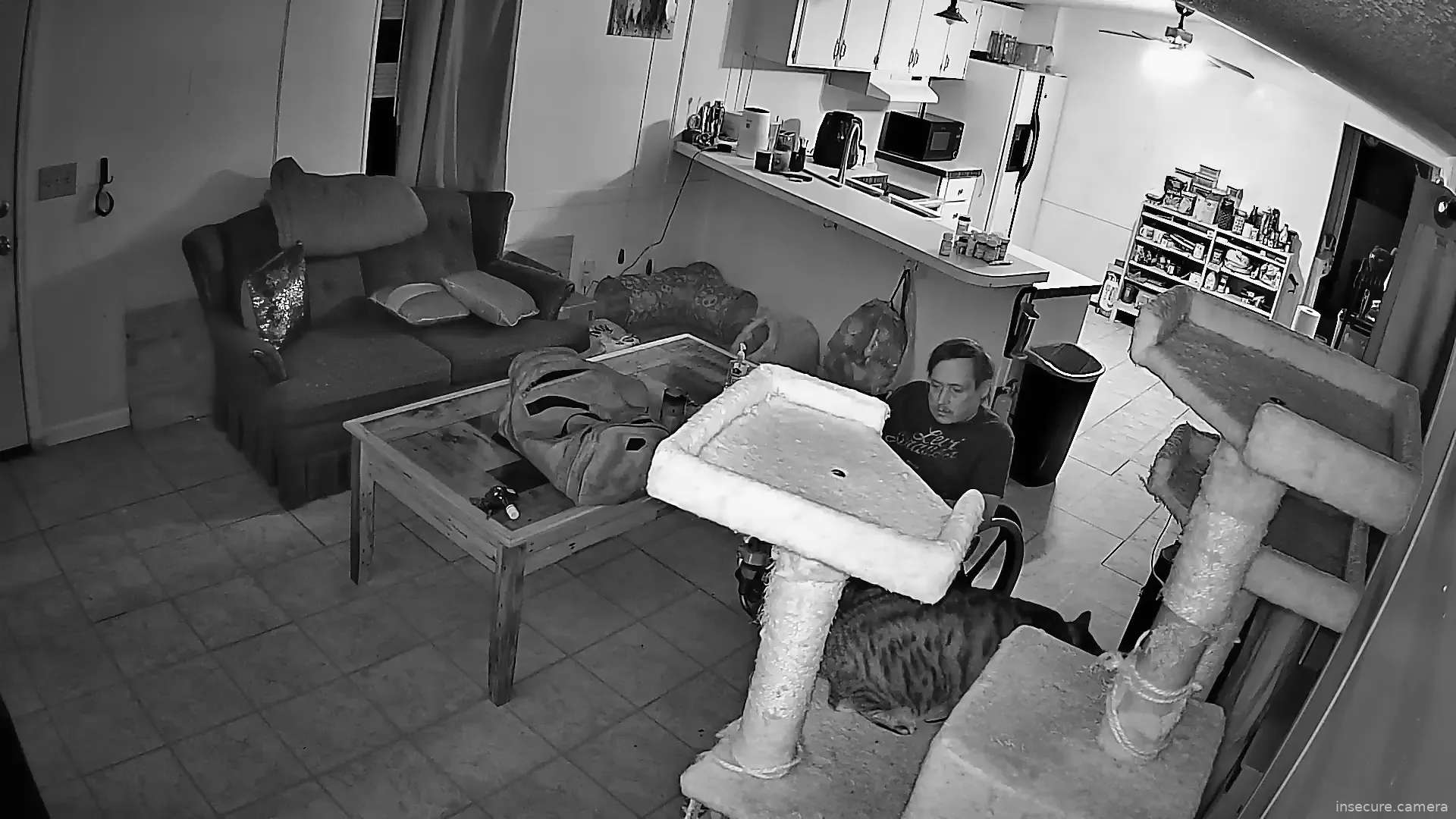 Capture from Feb 25, 2026 at 01:38 AM