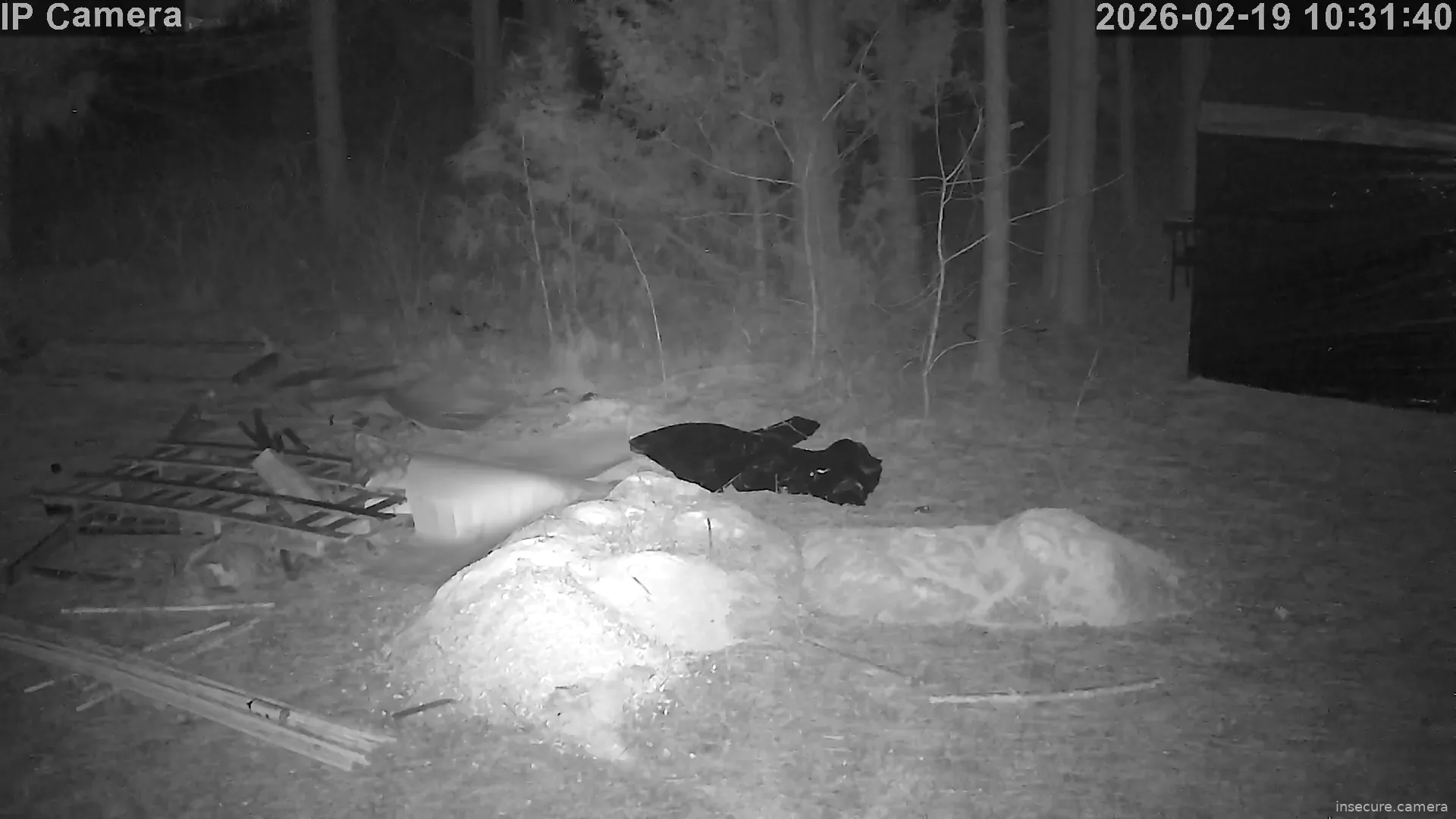 Capture from Feb 19, 2026 at 02:32 AM