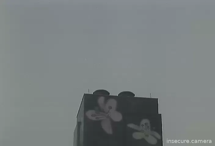 Capture from Feb 19, 2026 at 09:52 AM