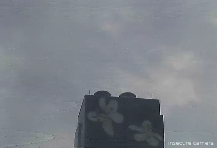 Capture from Feb 19, 2026 at 12:20 AM