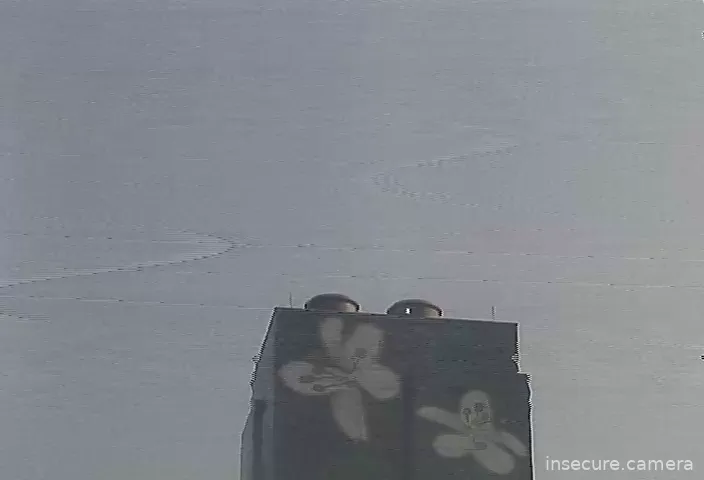 Capture from Feb 19, 2026 at 12:58 AM