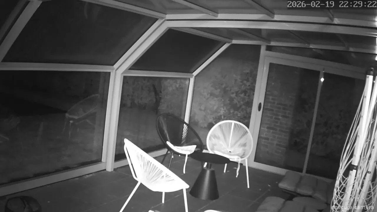 Capture from Feb 19, 2026 at 08:29 PM