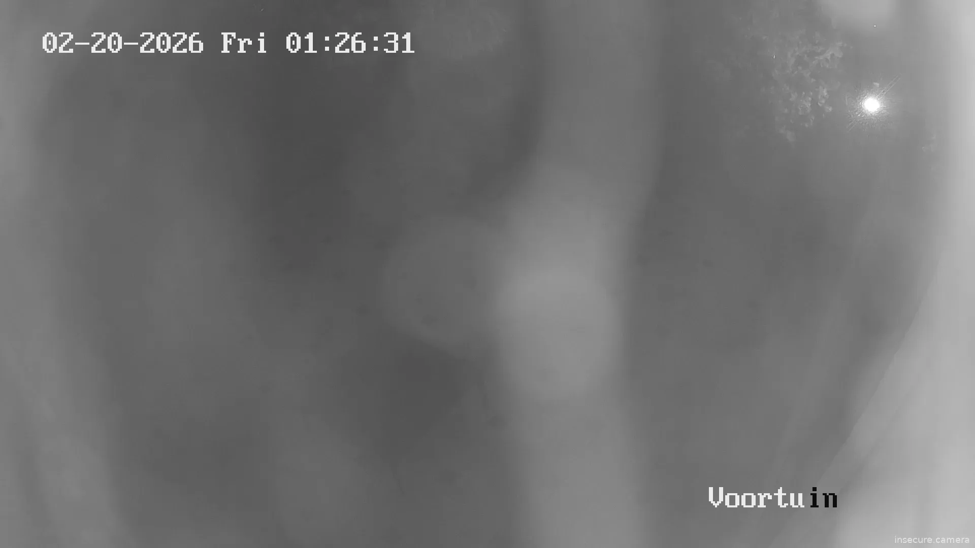 Capture from Feb 20, 2026 at 12:26 AM